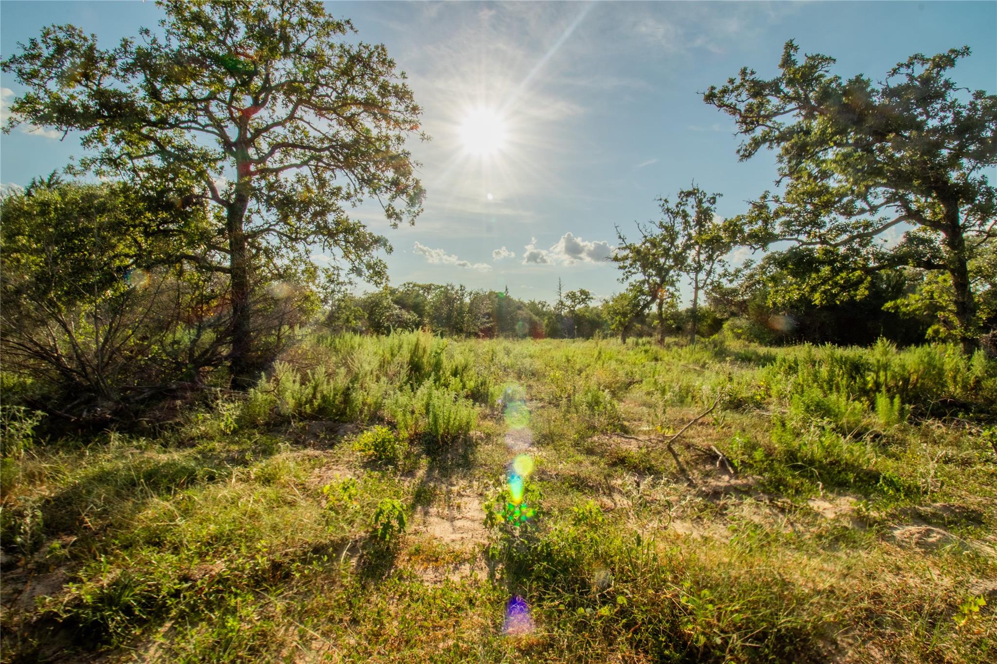 001 County Road 15 None Property Photo 33