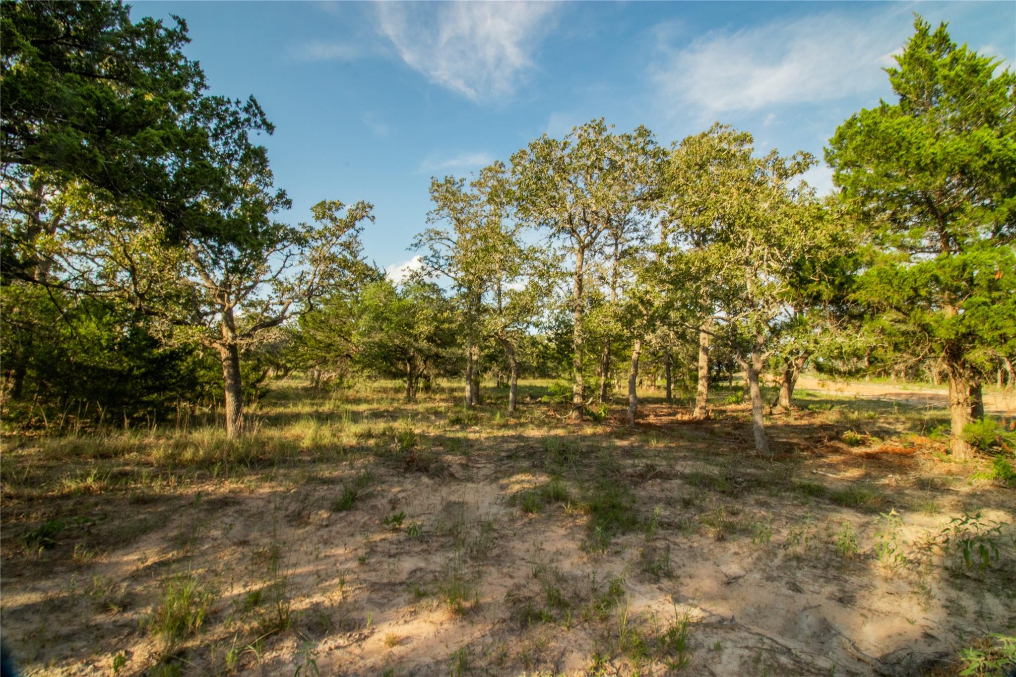 001 County Road 15 None Property Photo 34