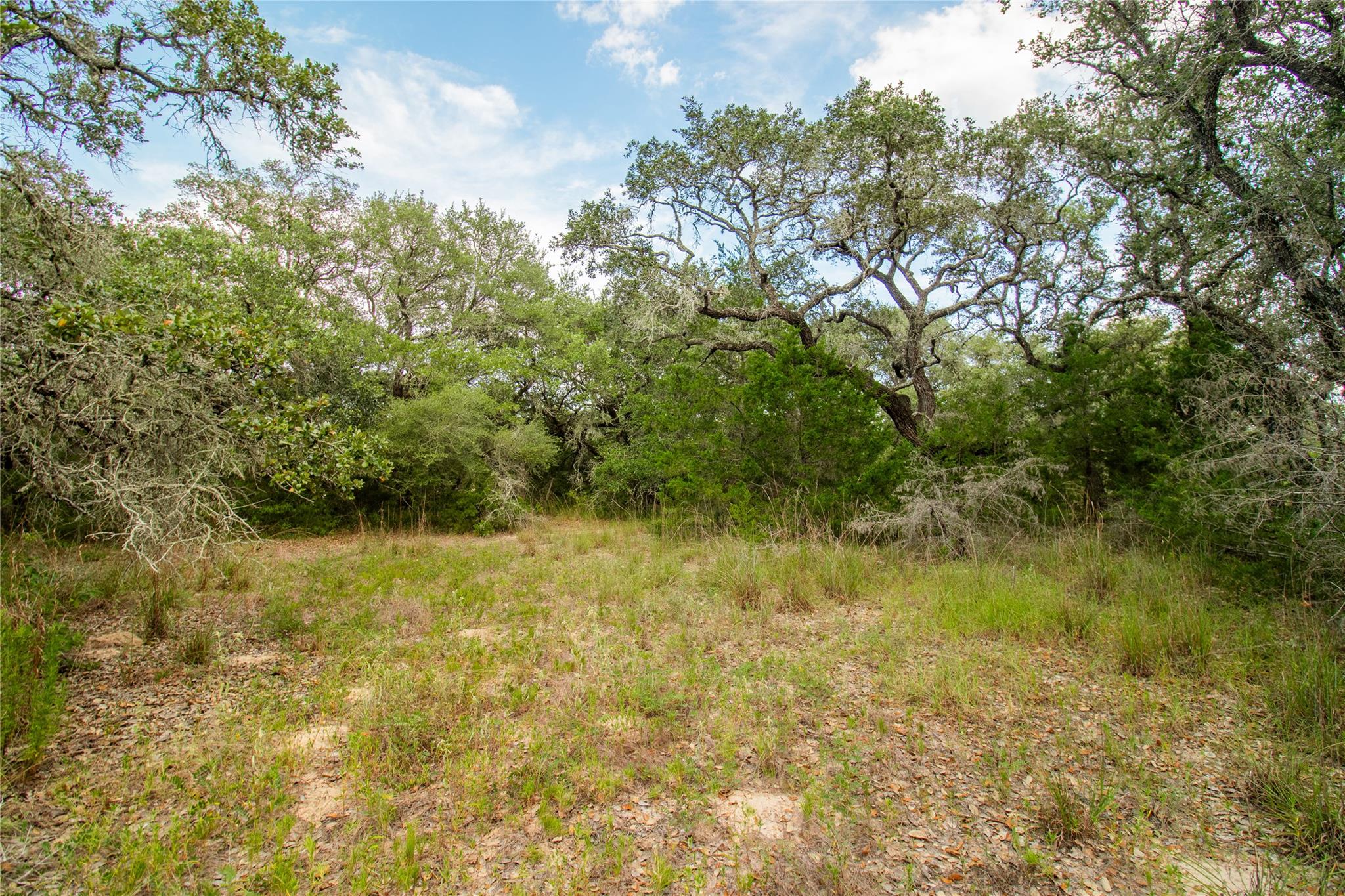 001 County Road 15 None Property Photo 37