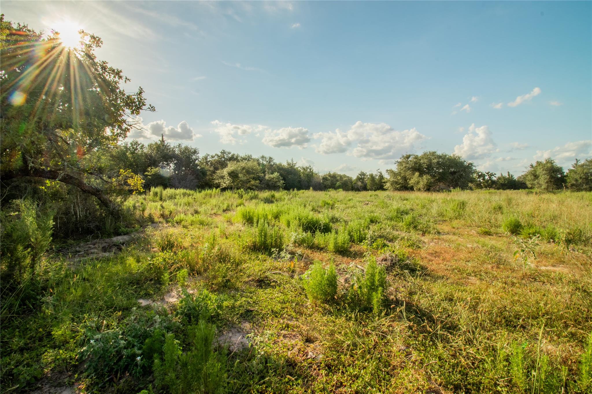 001 County Road 15 None Property Photo 39