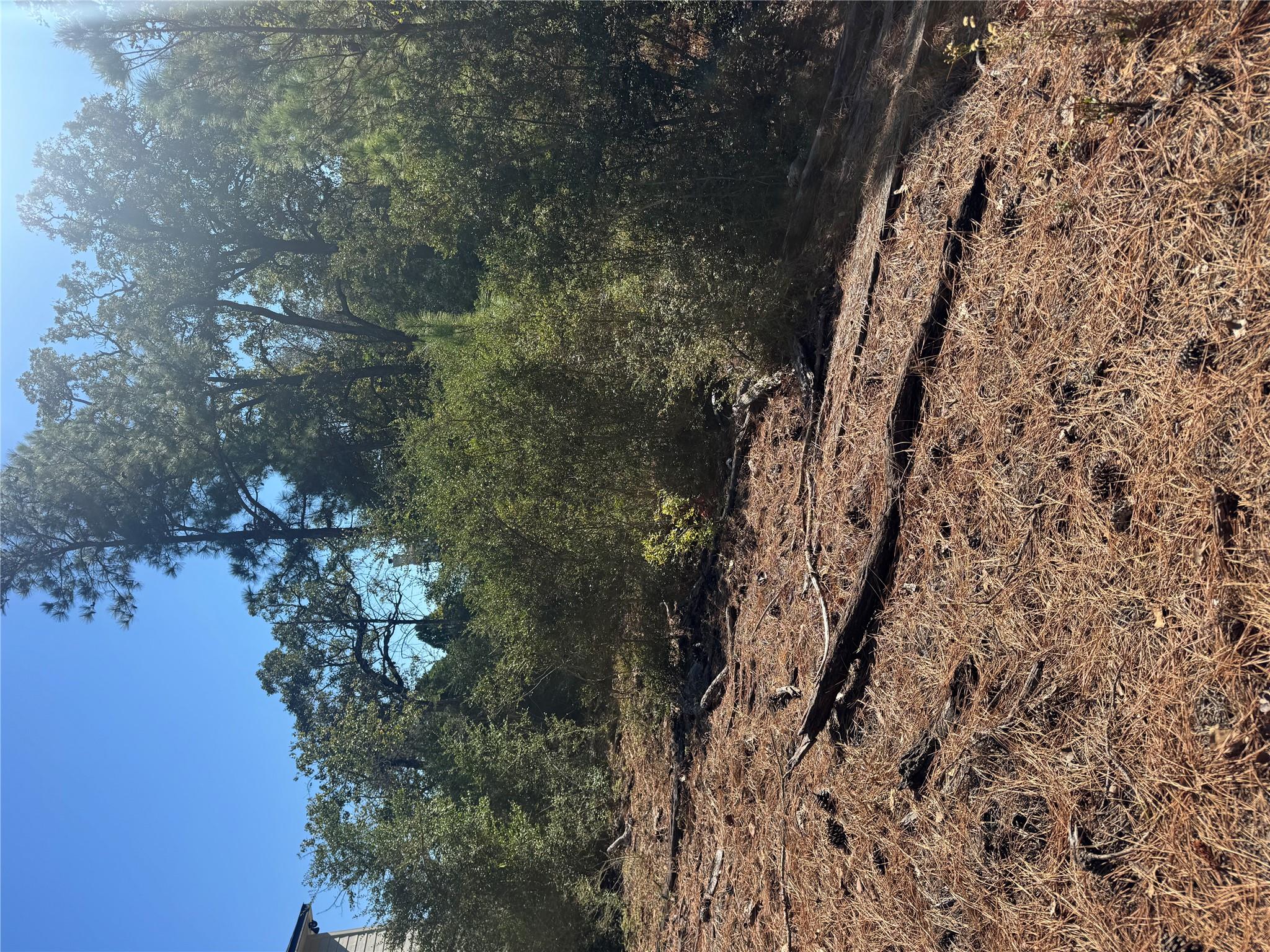 Lot 97 Kaelepulu Dr Property Photo 6