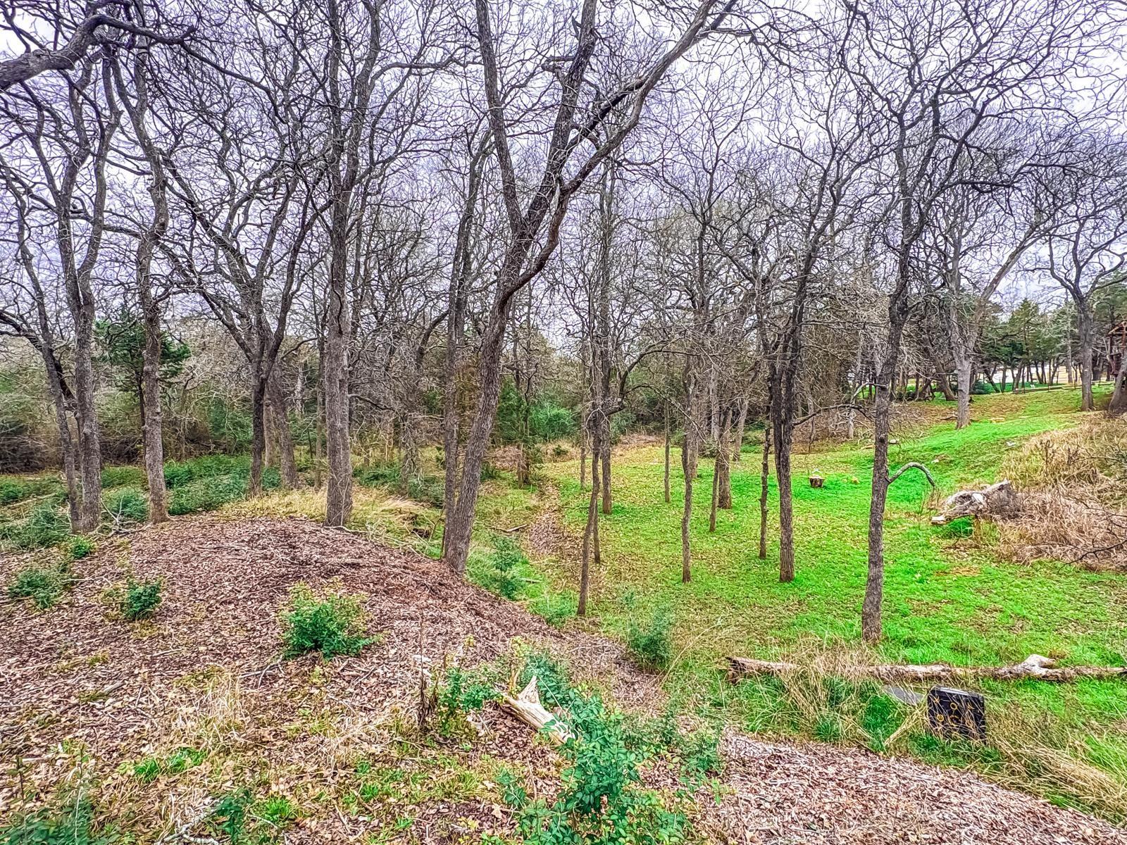 115 Deep Woods Ct Property Photo 4
