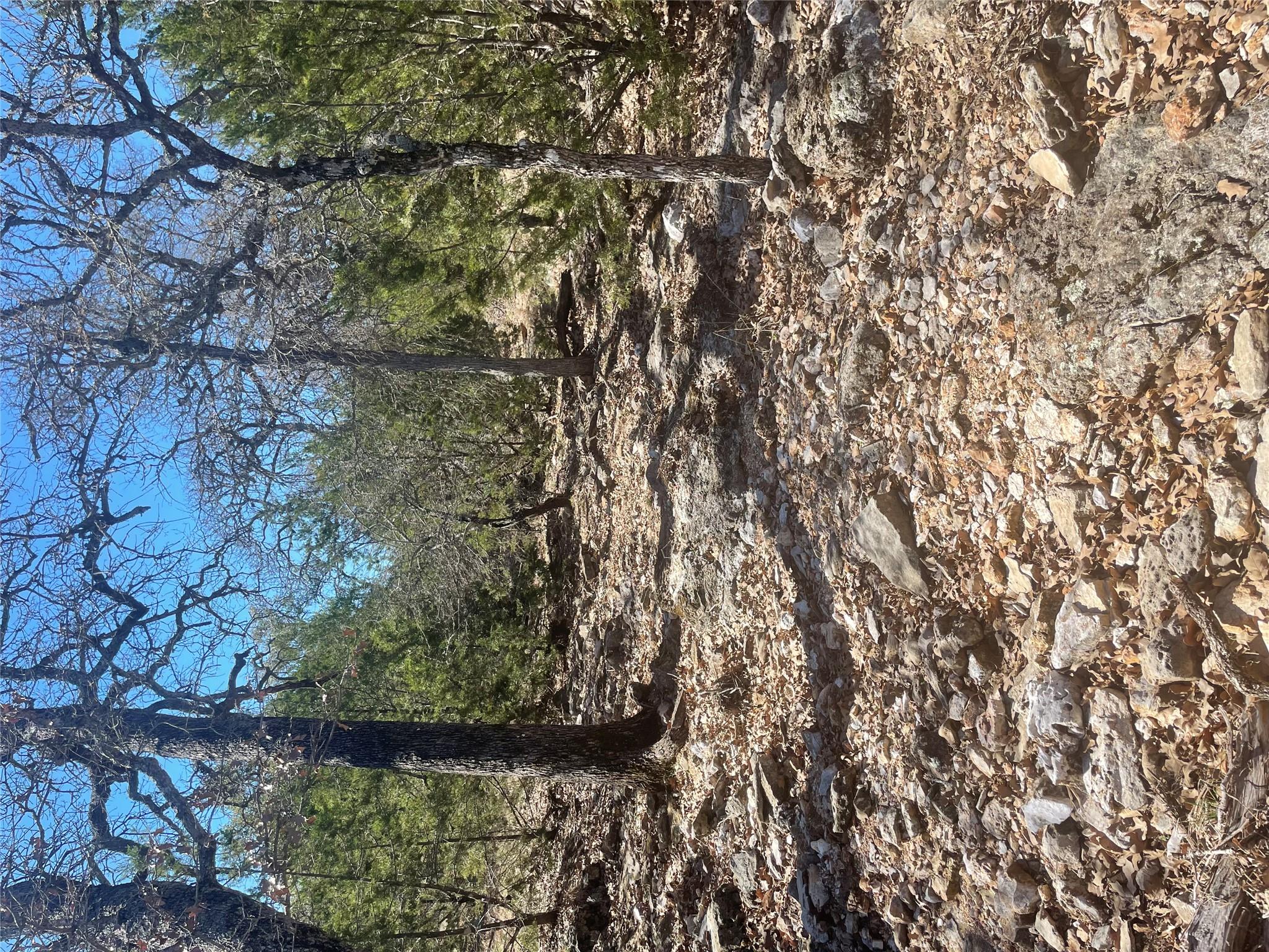 2293874 Property Photo 2