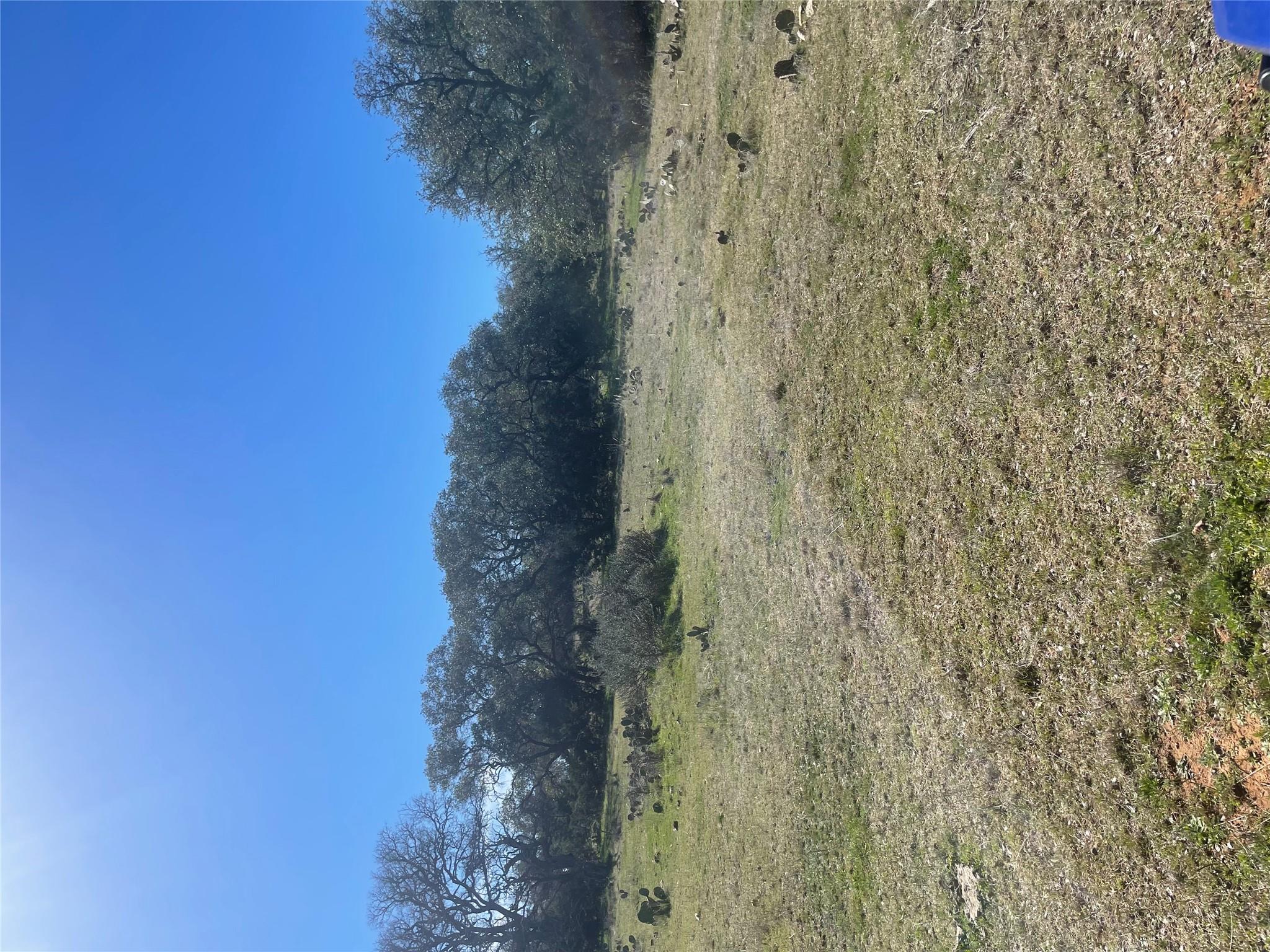 2293874 Property Photo 4
