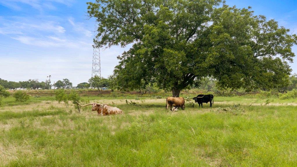 315 Ranch Road 1376 None Property Photo 20