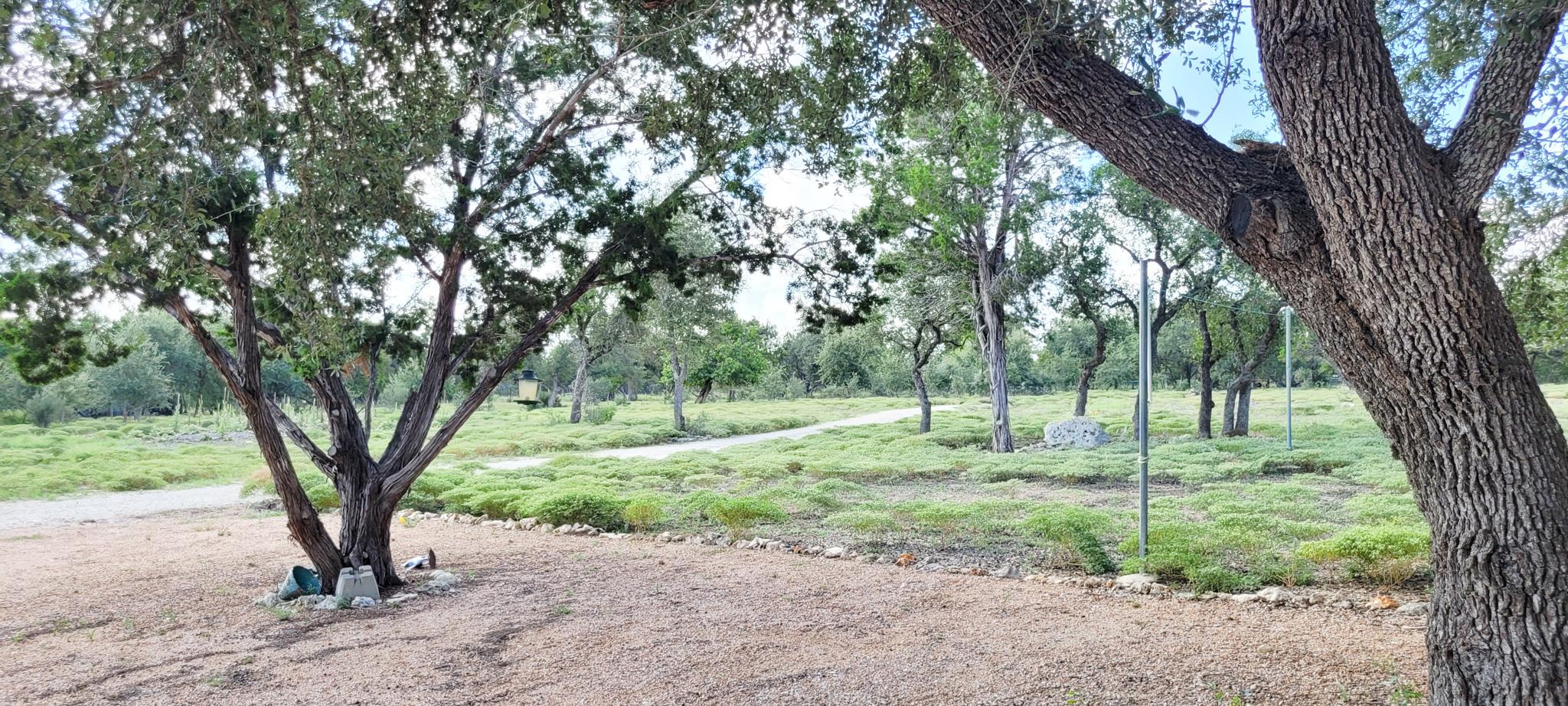 1085 Forest View Dr Property Photo 6