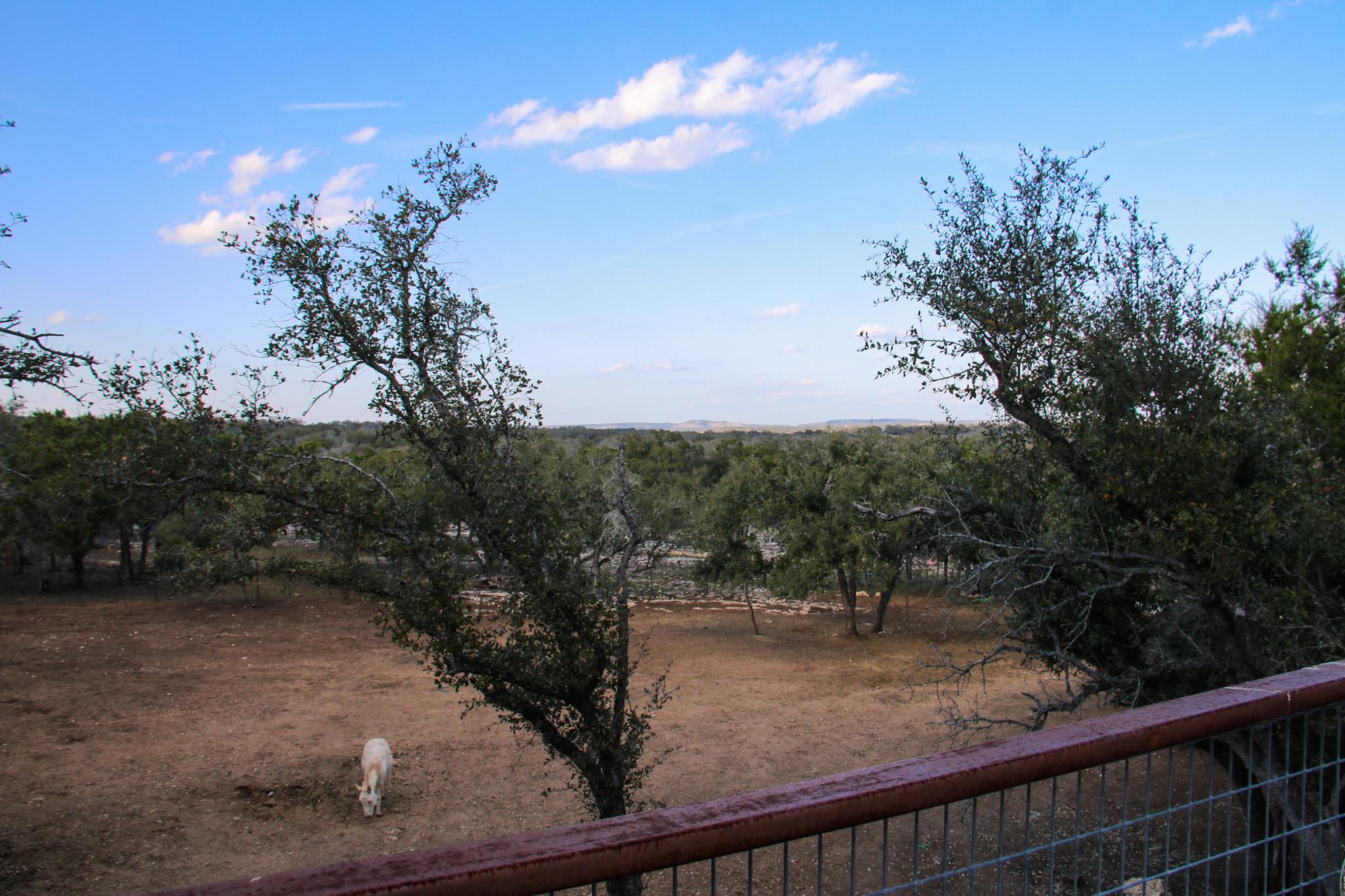 1085 Forest View Dr Property Photo 22