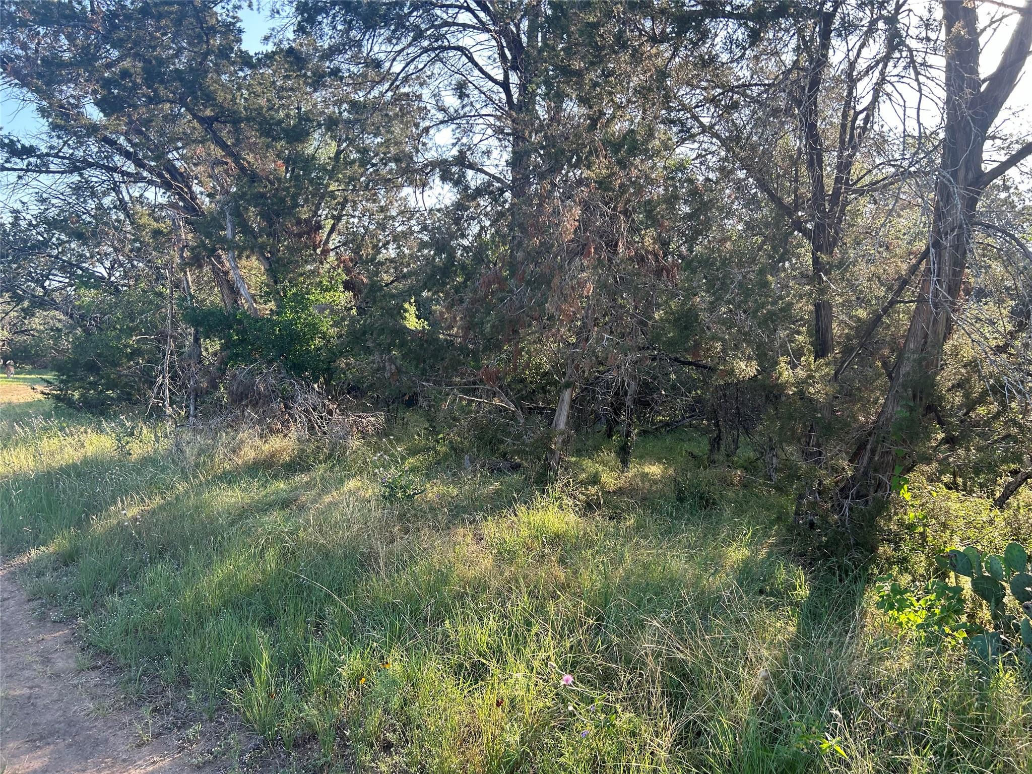 20804 Hawthorne Cv Property Photo 7