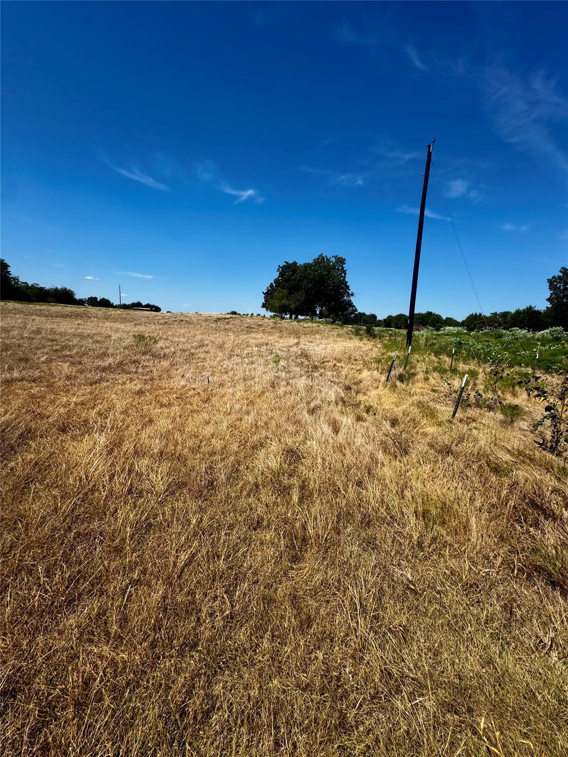Tbd Lot 16 Cr 327 None Property Photo 6