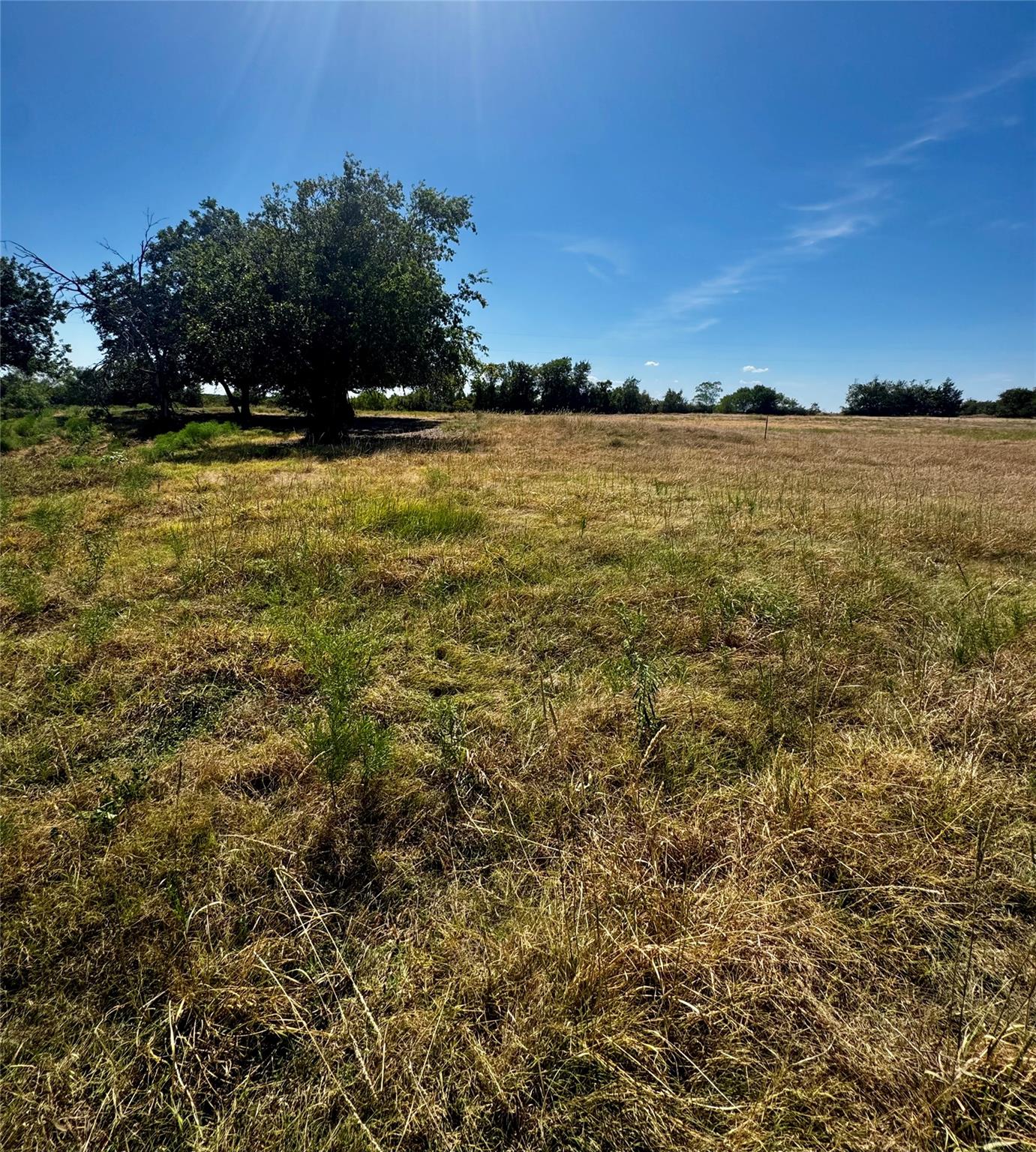 Tbd Lot 16 Cr 327 None Property Photo 7