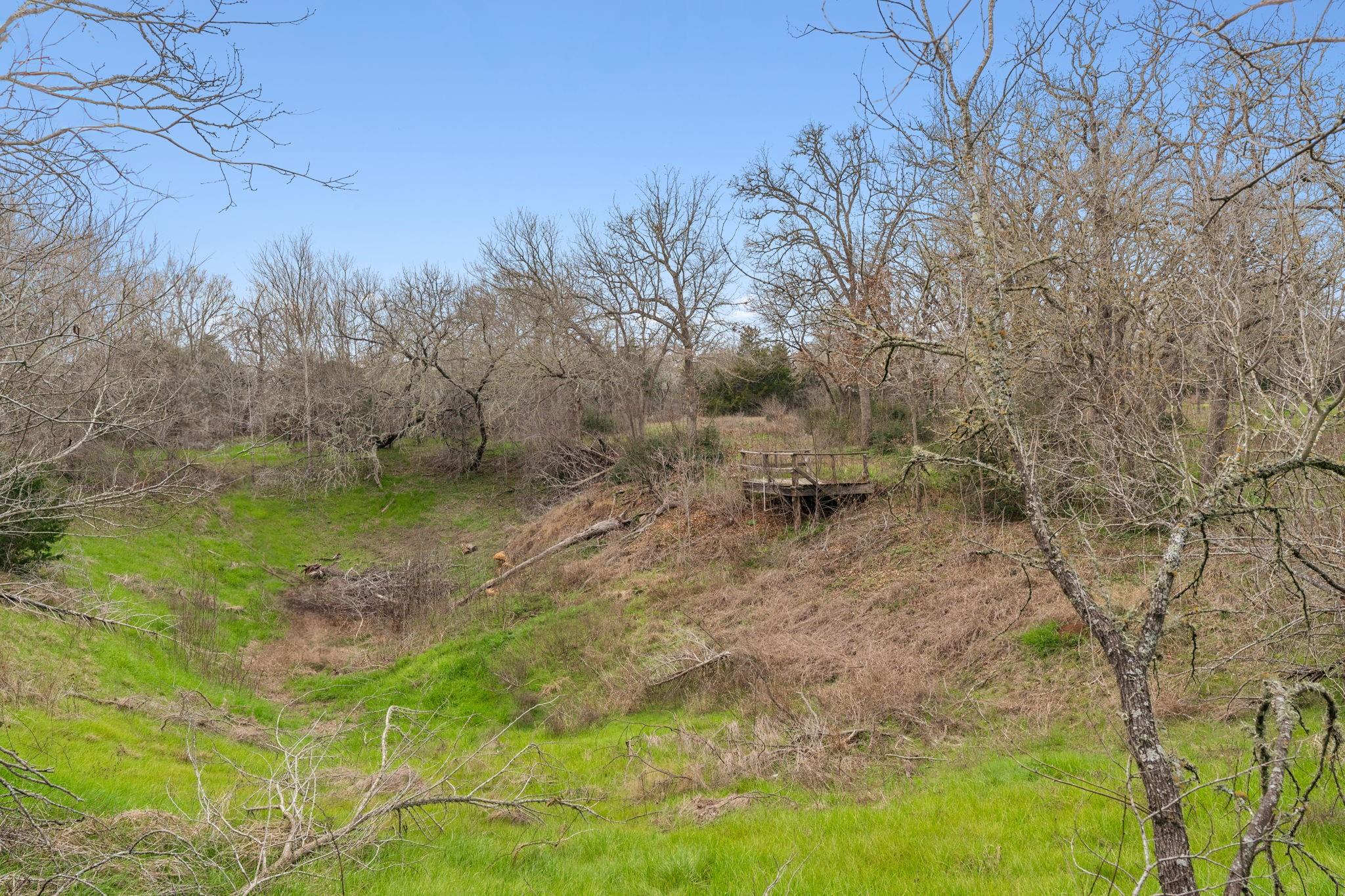 161 Possum Hollow Rd Property Photo 21