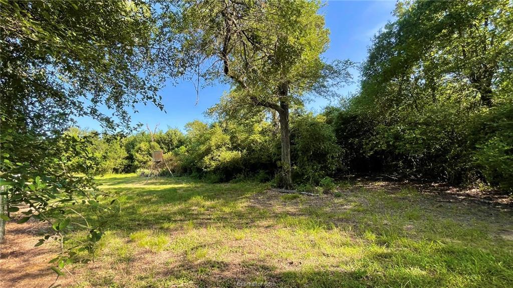 750 County Rd 206a (15.5 Acres) None Property Photo 18