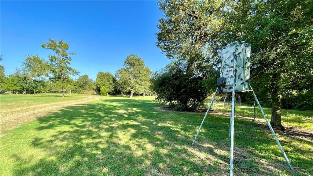 750 County Rd 206a (15.5 Acres) None Property Photo 20