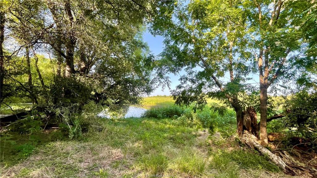 750 County Rd 206a (15.5 Acres) None Property Photo 23