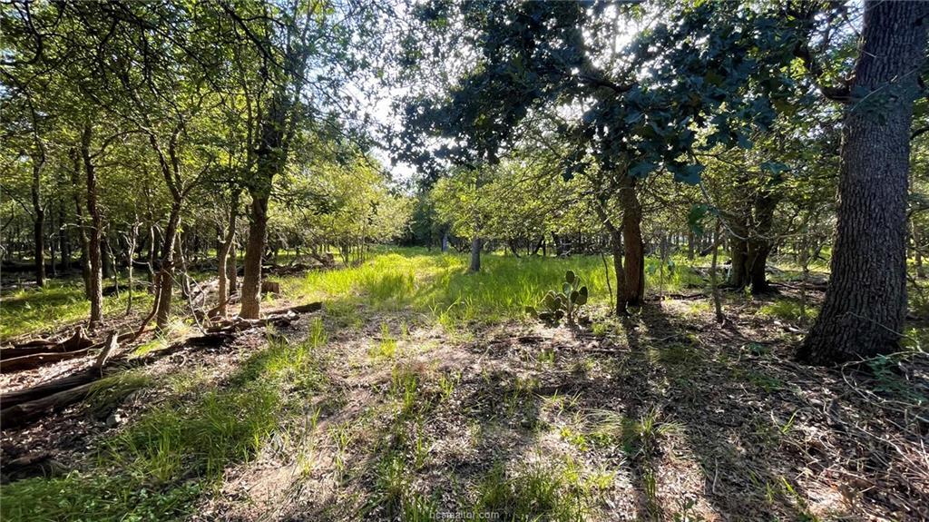 750 County Rd 206a (15.5 Acres) None Property Photo 25