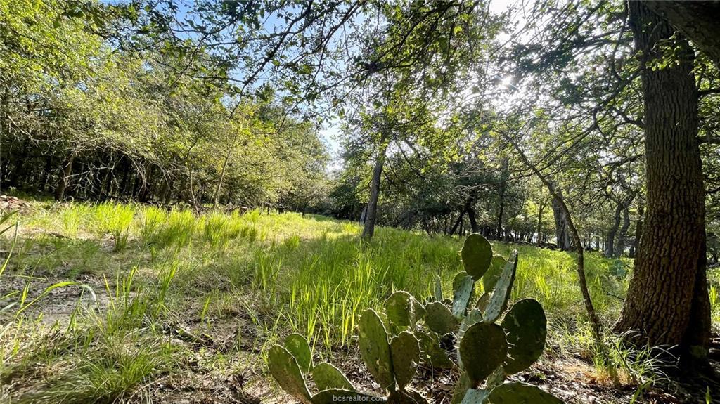 750 County Rd 206a (15.5 Acres) None Property Photo 26