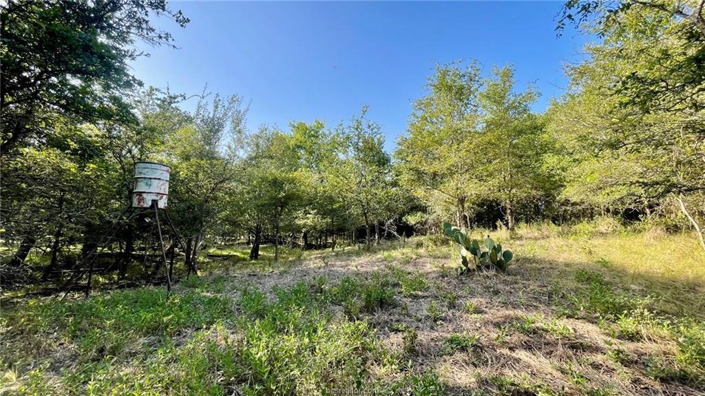 750 County Rd 206a (15.5 Acres) None Property Photo 27