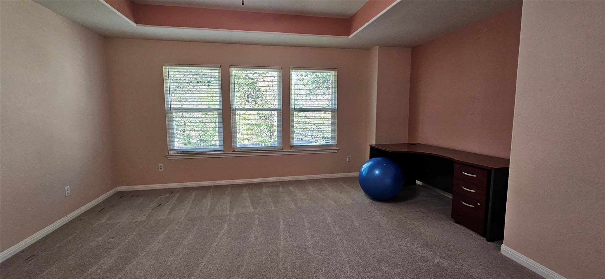 9540 Aire Libre Dr Property Photo 29