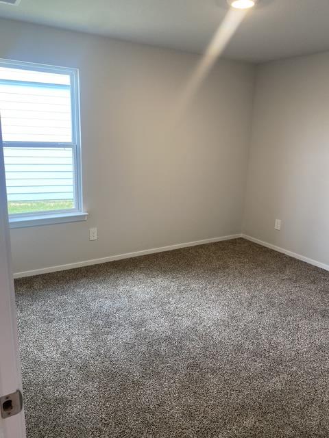 509 Pickel Dr Property Photo 9