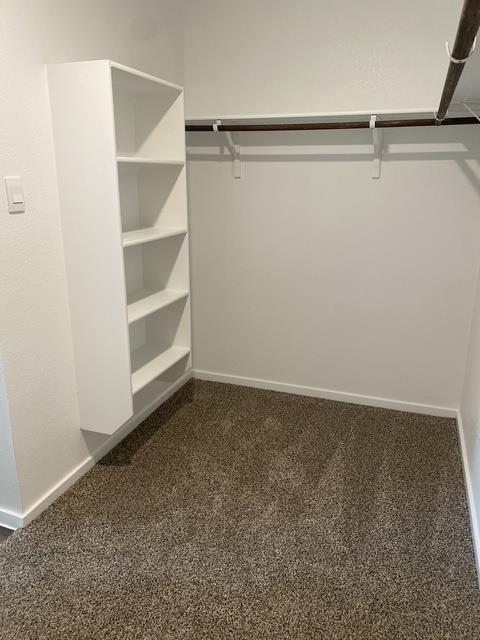 509 Pickel Dr Property Photo 17