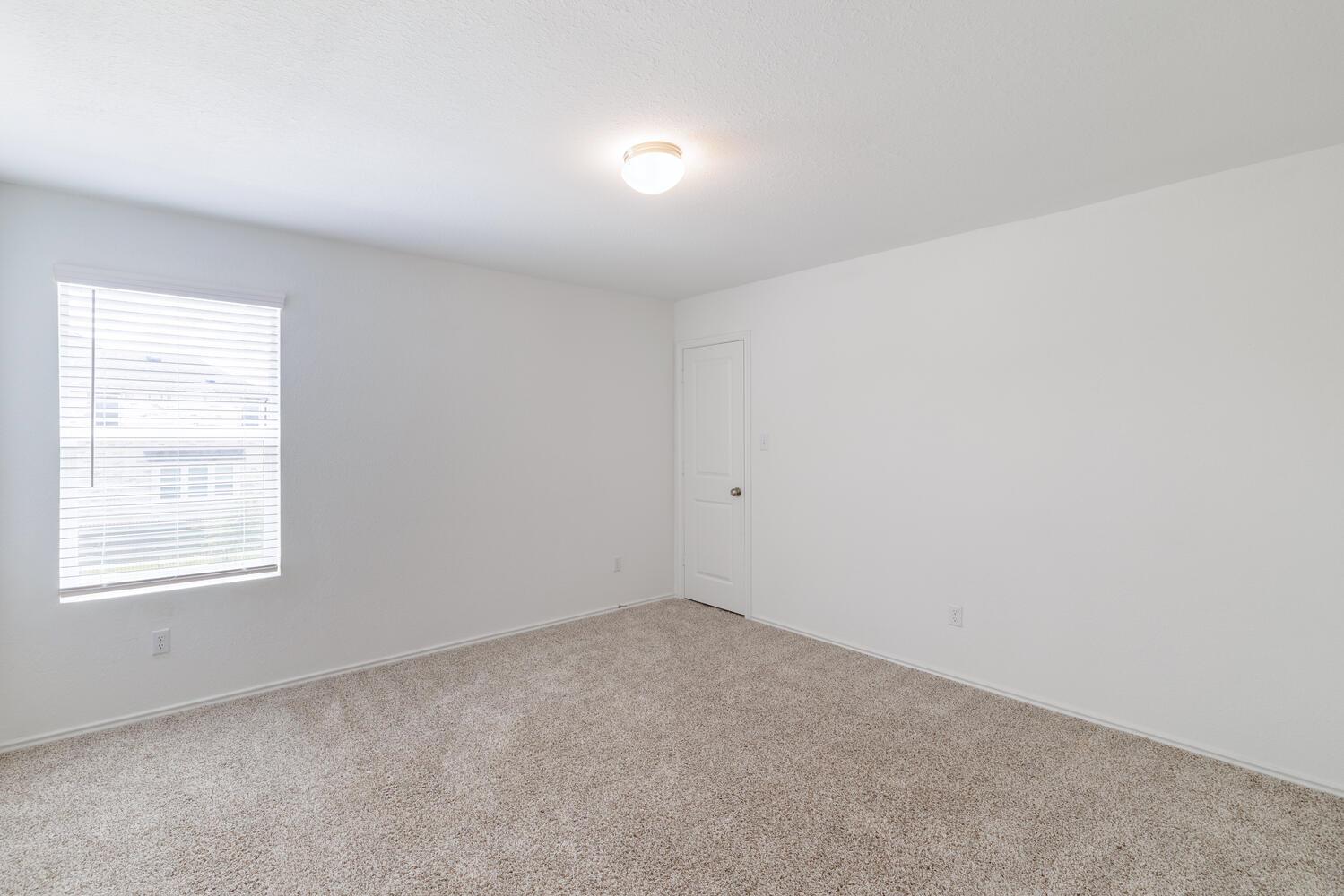 8015 Purple Aster Pass Property Photo 13