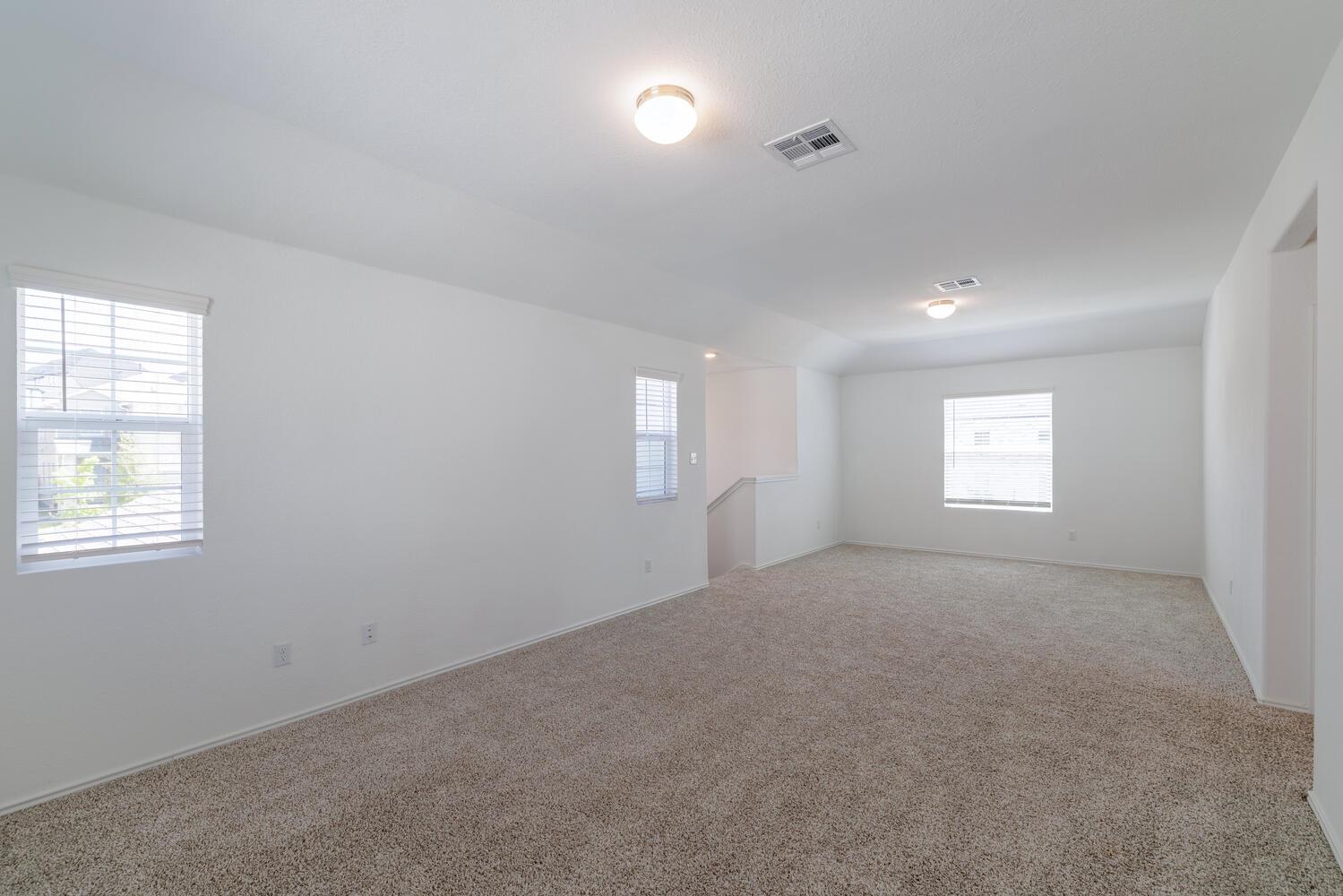 8015 Purple Aster Pass Property Photo 14