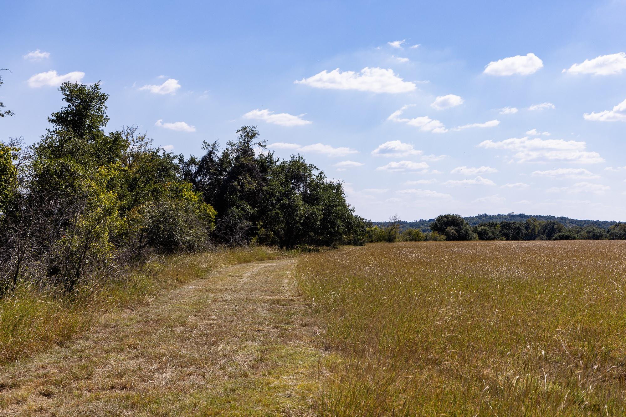 3551 Rm 2325 None Property Photo 24
