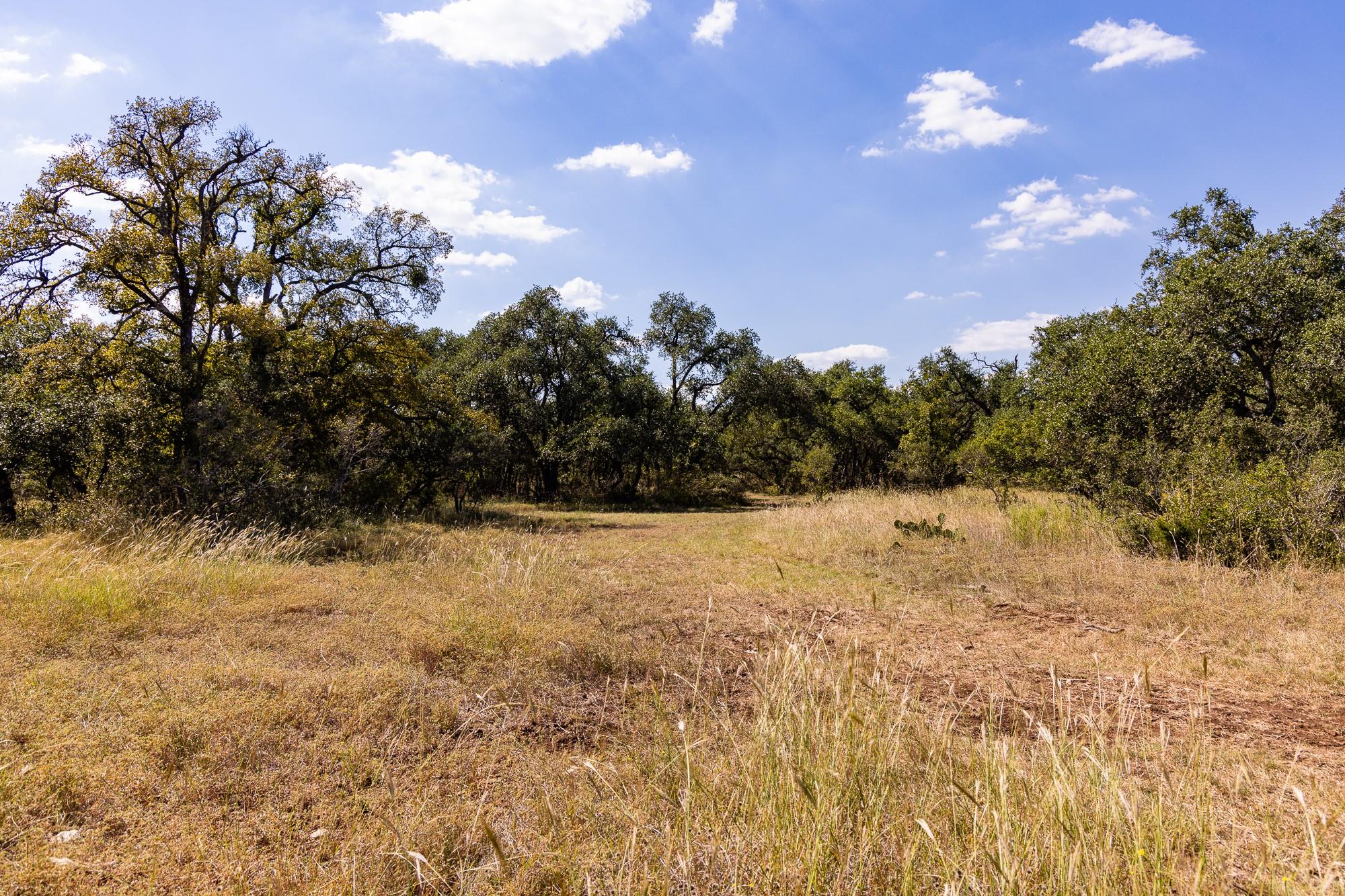 3551 Rm 2325 None Property Photo 32