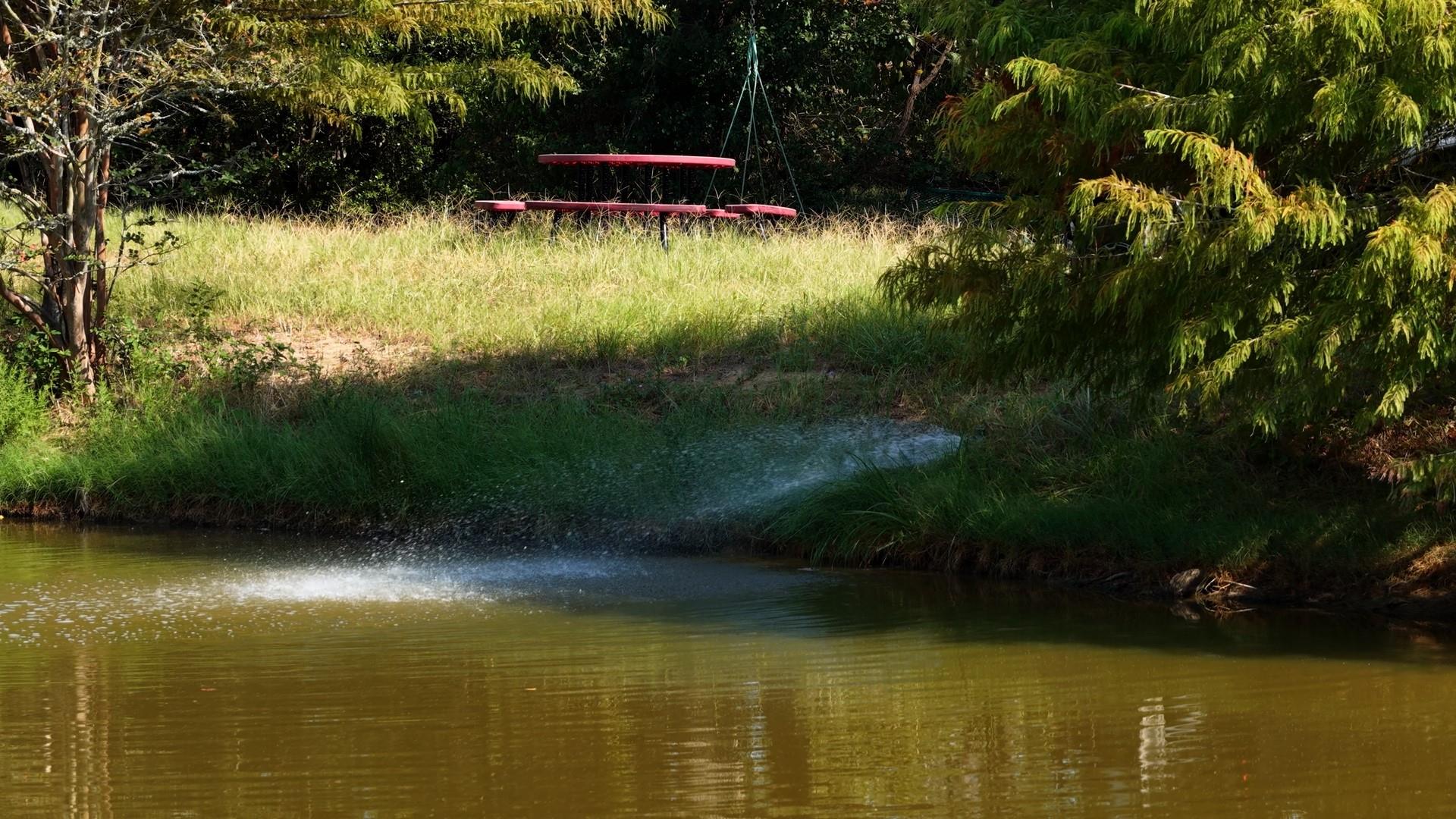 218 Little Ranch Rd Property Photo 4