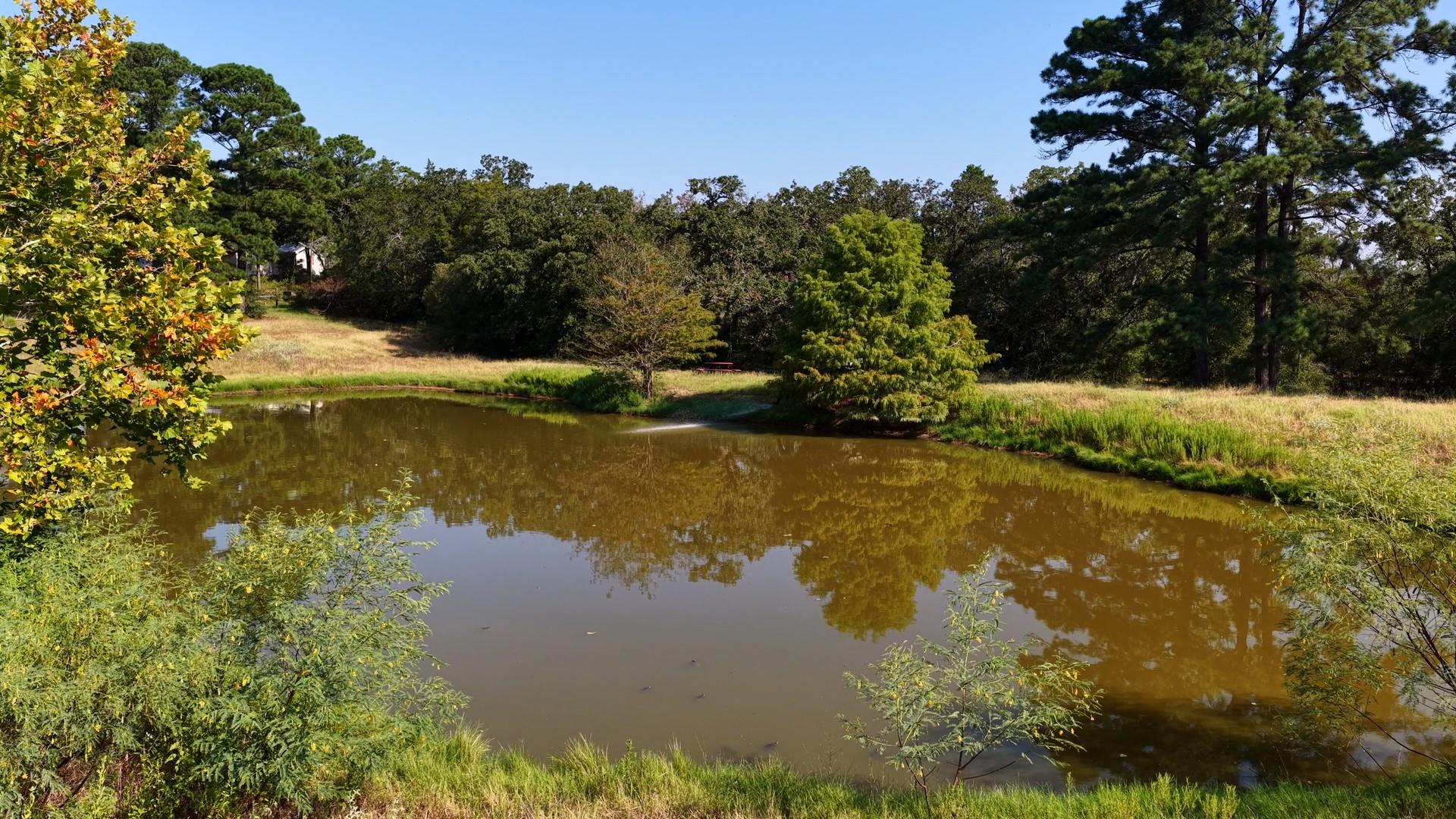 218 Little Ranch Rd Property Photo 5