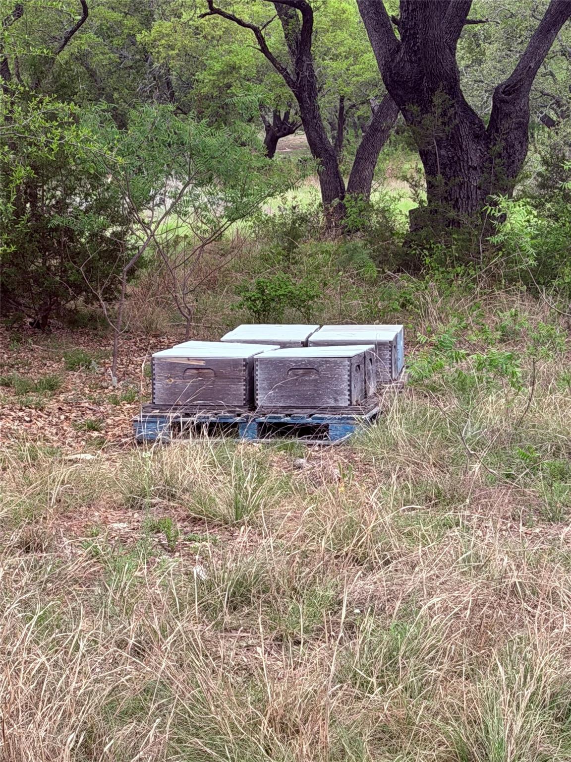 Tbd S Fm 1174 None Property Photo 4