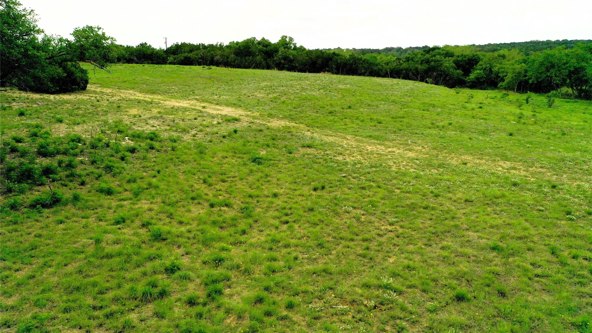 Tbd S Fm 1174 None Property Photo 16