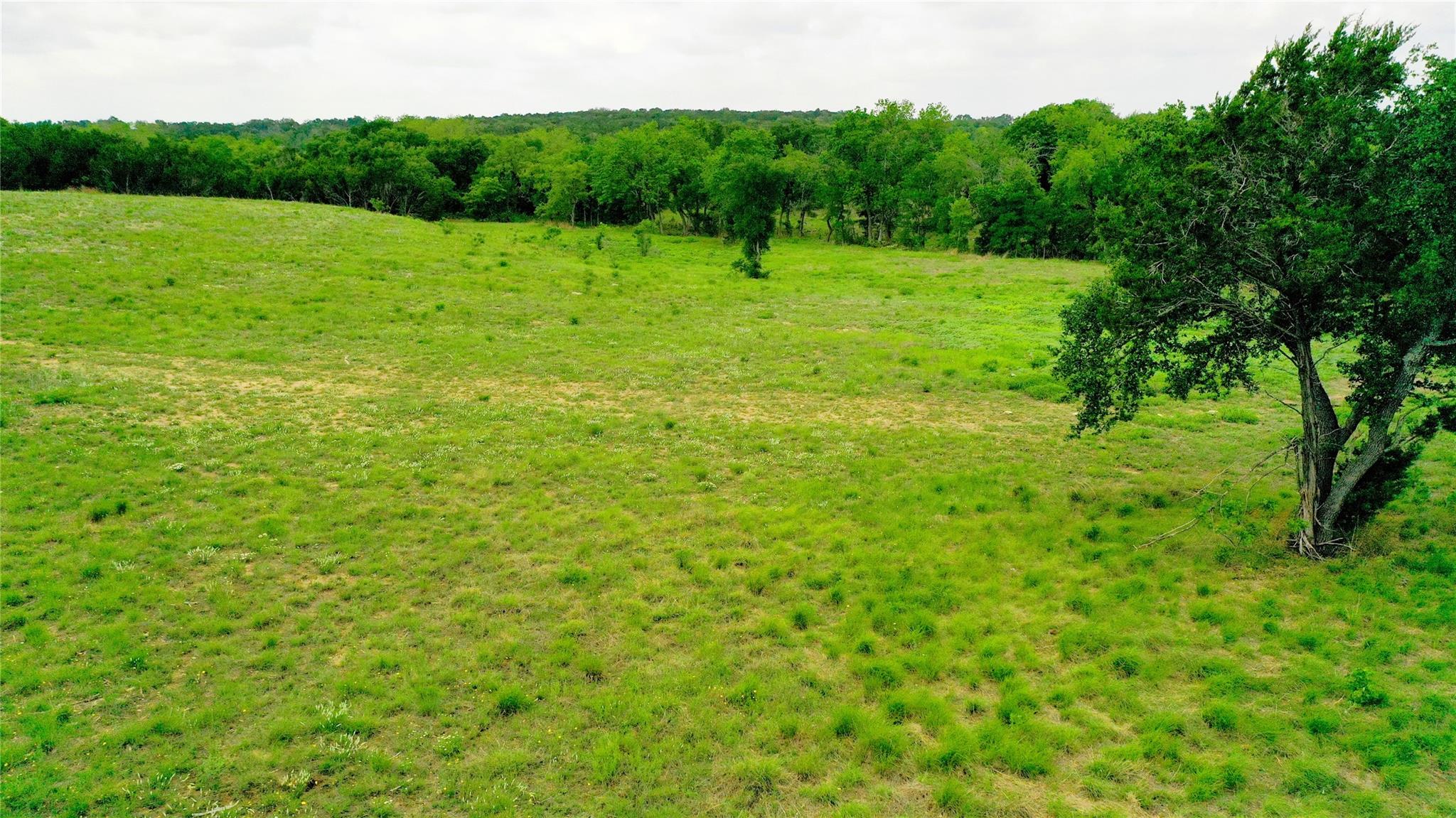 Tbd S Fm 1174 None Property Photo 17