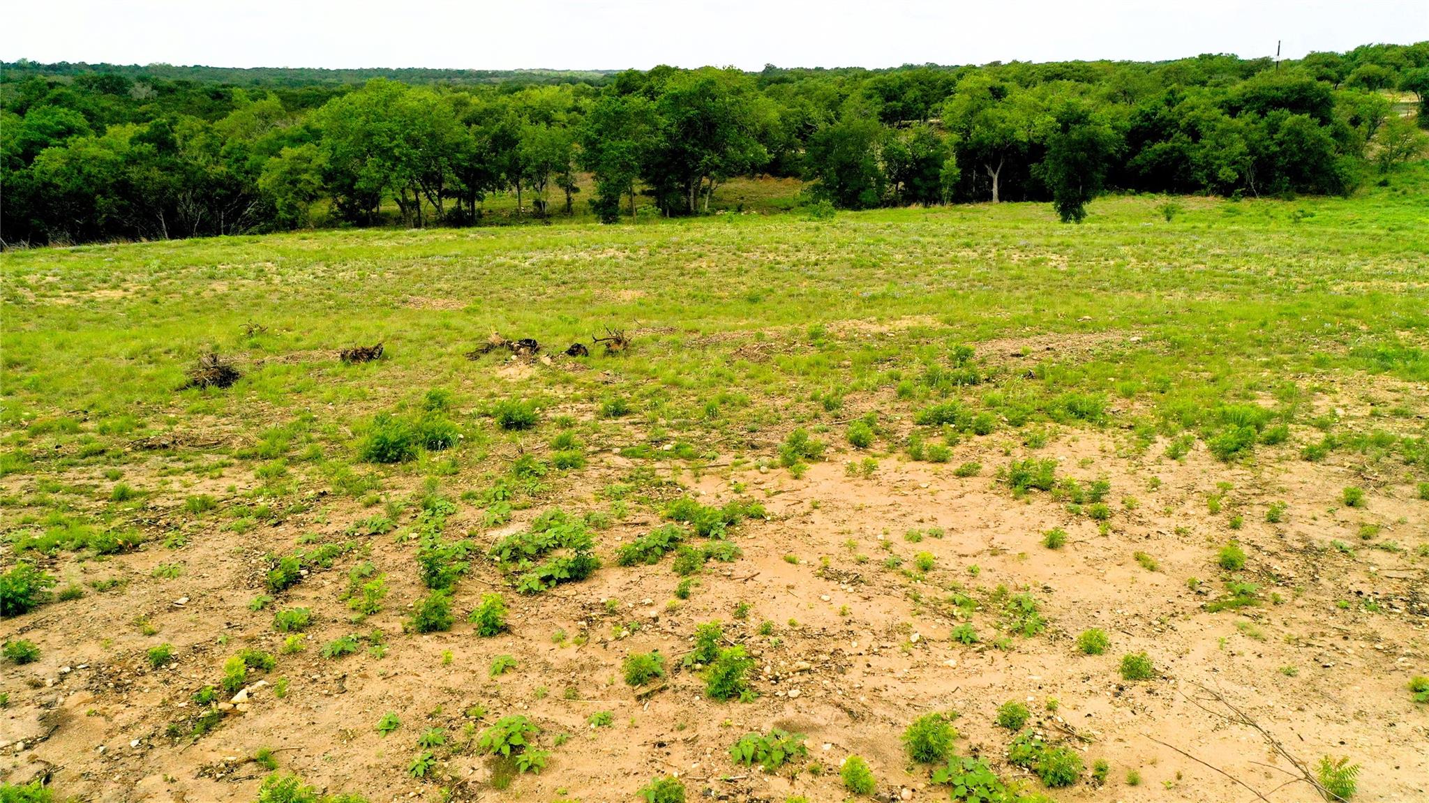 Tbd S Fm 1174 None Property Photo 29
