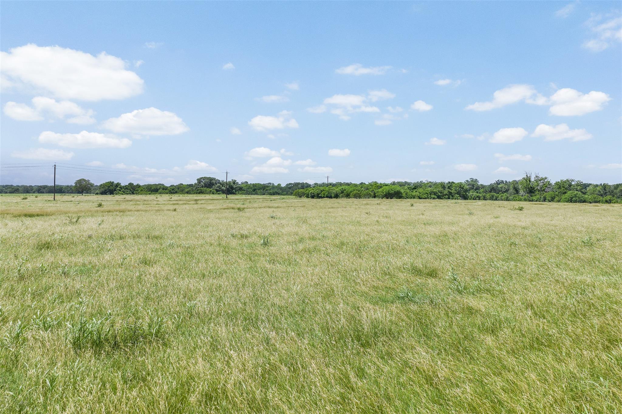 Lot 11 Cr 353 None Property Photo 11