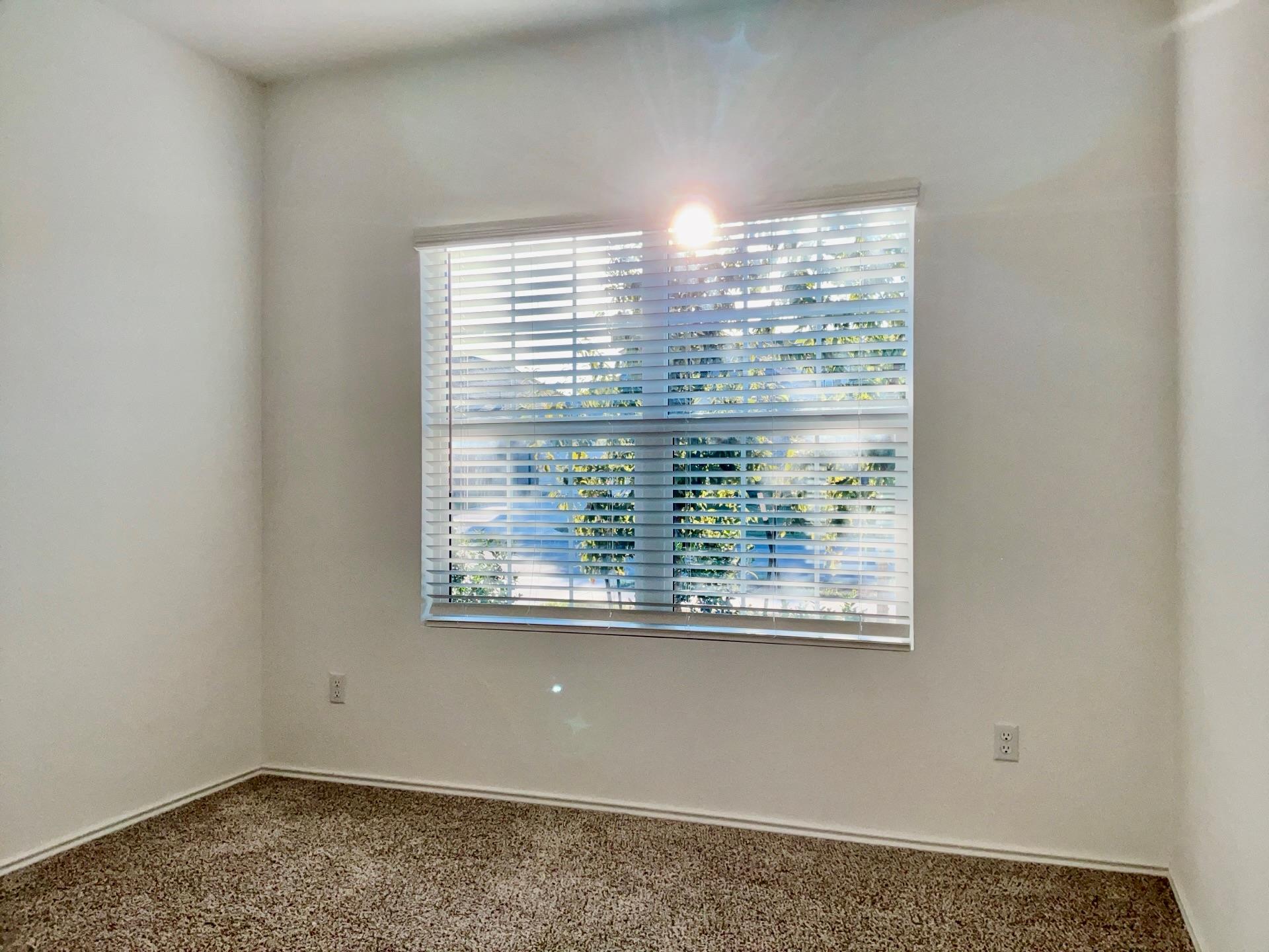 105 Blue Blaze Trl Property Photo 19