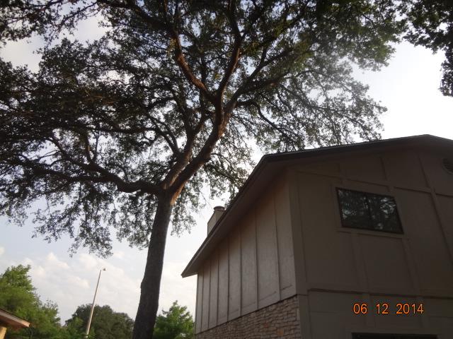 10700 Hard Rock Rd Property Photo 15