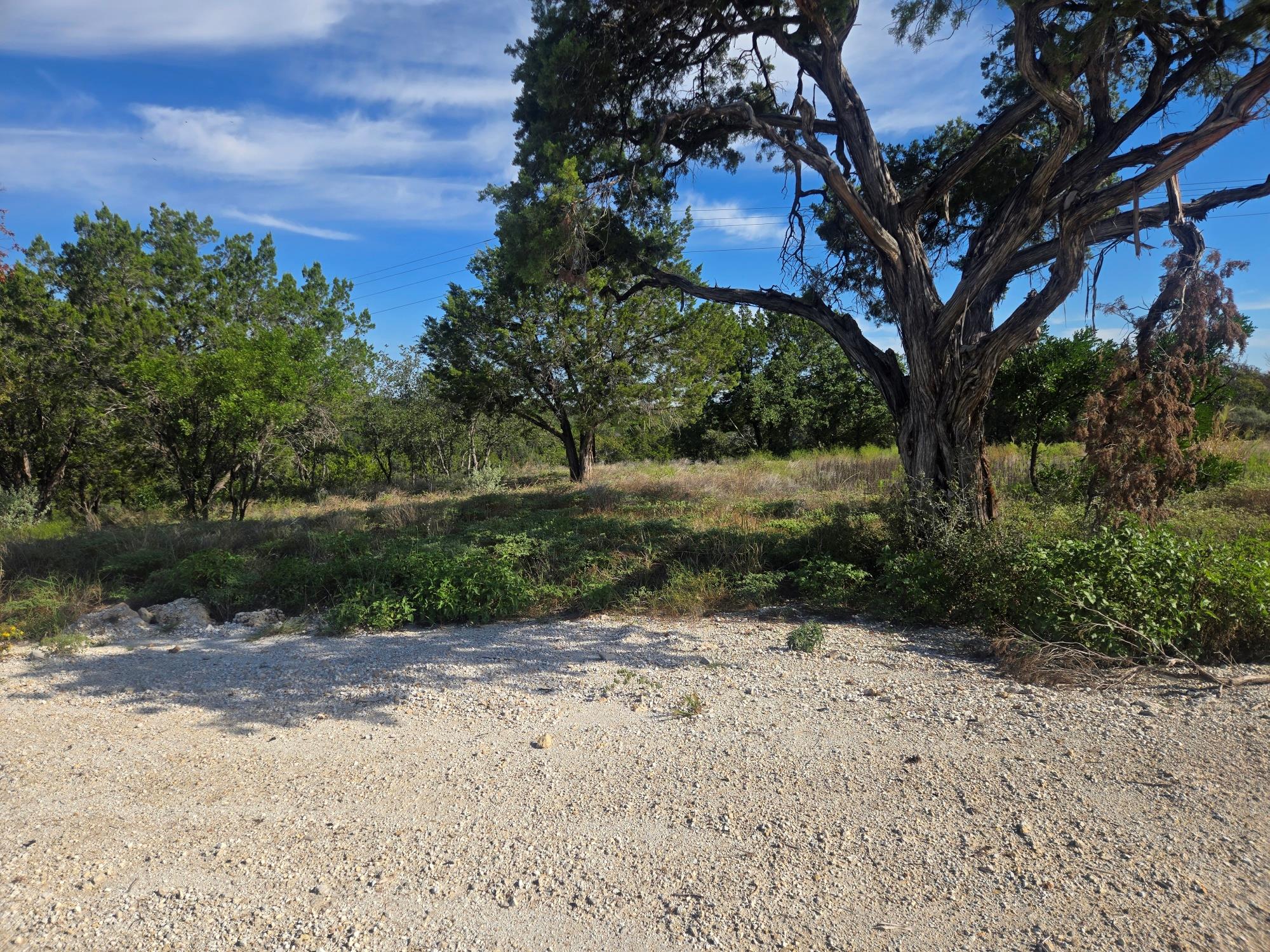 18101 Marshalls Point Dr Property Photo 6