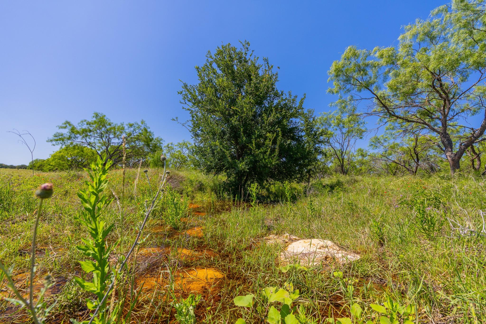 Tbd County Road 180 Rolling Pond Ranch Rd Property Photo 2