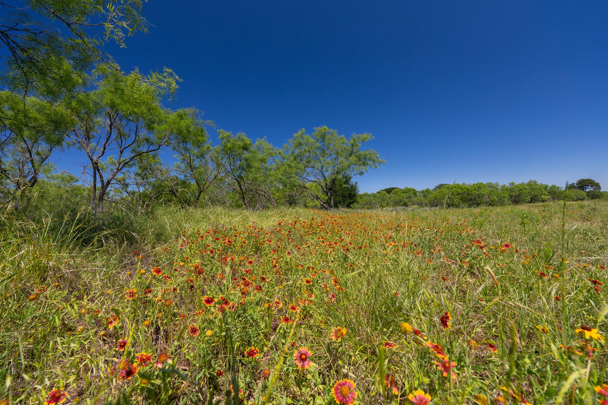 Tbd County Road 180 Rolling Pond Ranch Rd Property Photo 6