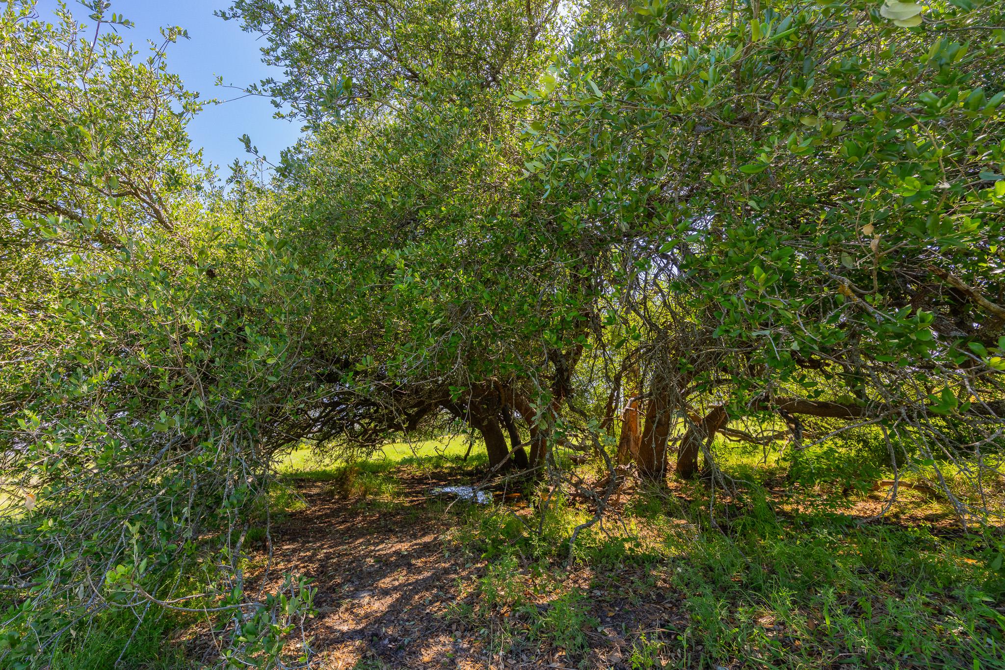 Tbd County Road 180 Rolling Pond Ranch Rd Property Photo 7
