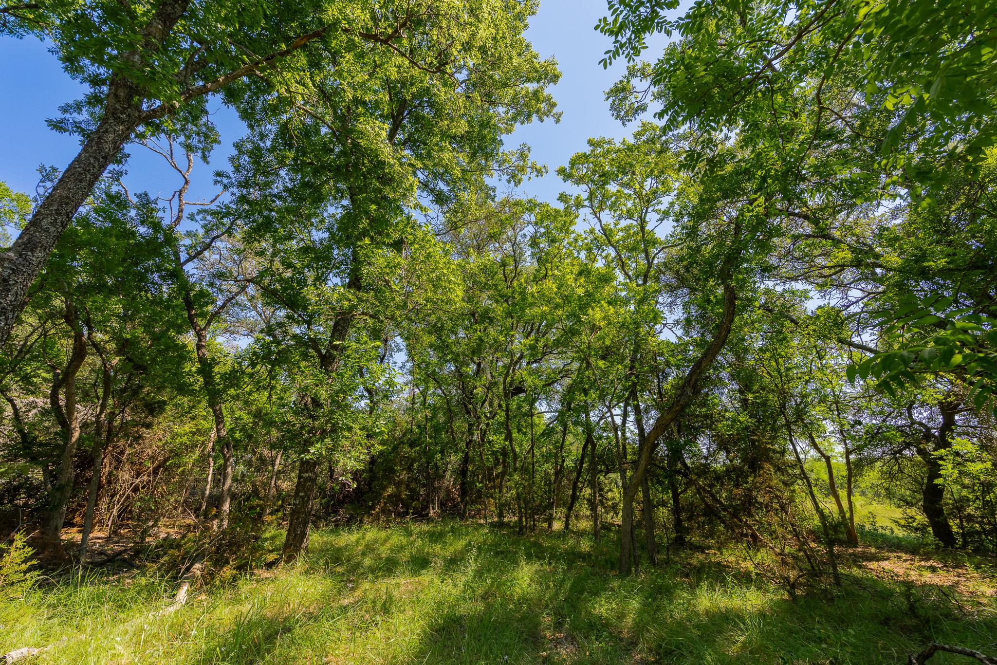 Tbd County Road 180 Rolling Pond Ranch Rd Property Photo 8