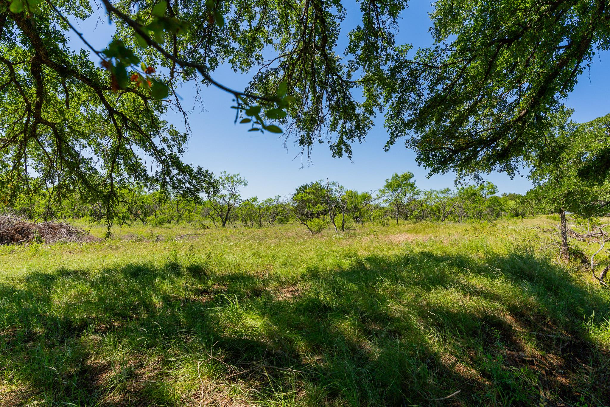 Tbd County Road 180 Rolling Pond Ranch Rd Property Photo 10
