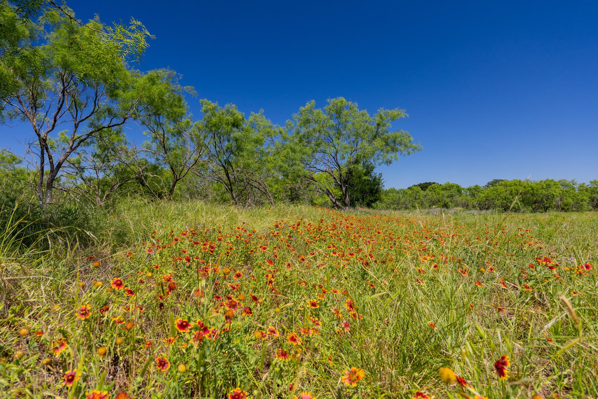 Tbd County Road 180 Rolling Pond Ranch Rd Property Photo 16