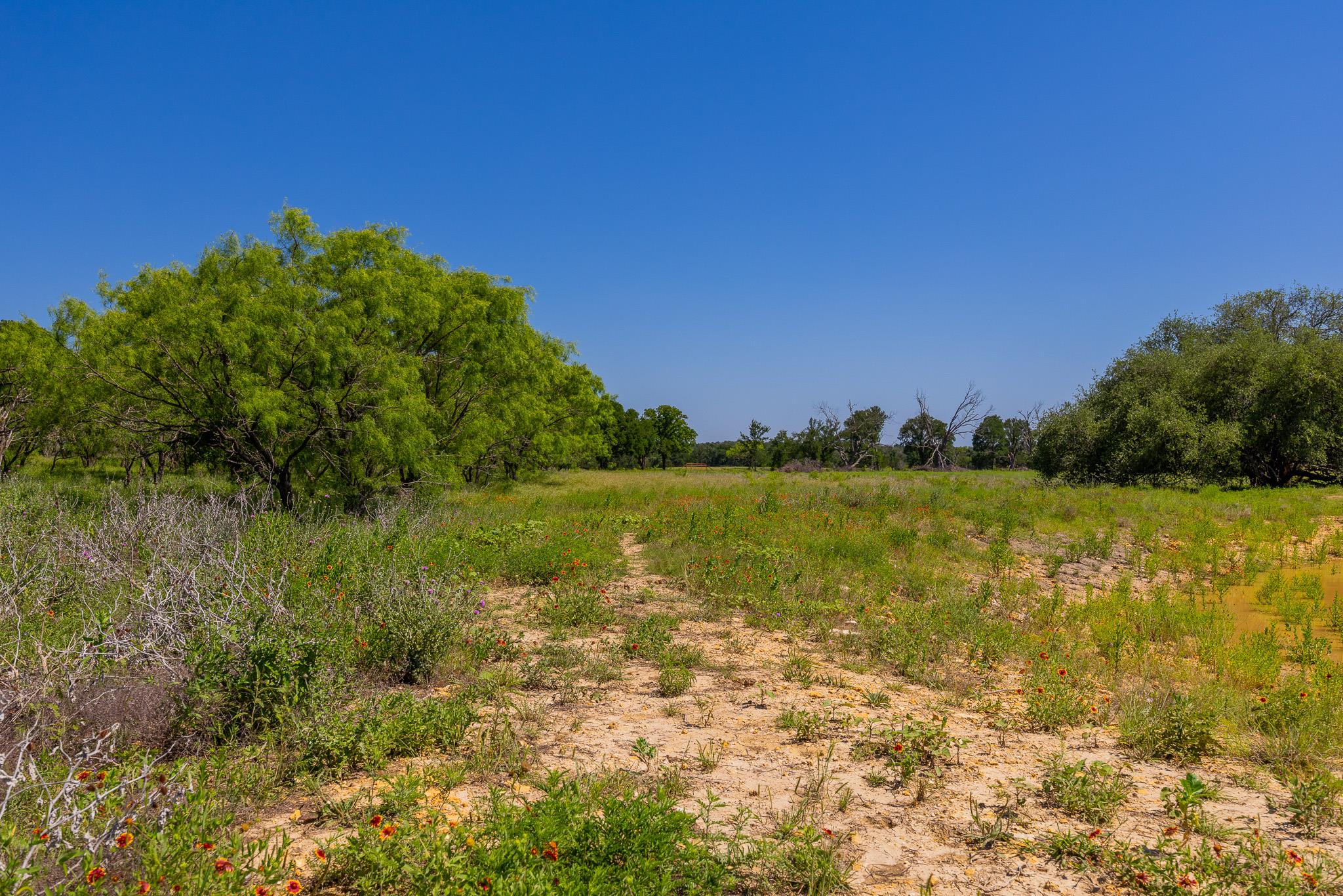 Tbd County Road 180 Rolling Pond Ranch Rd Property Photo 18