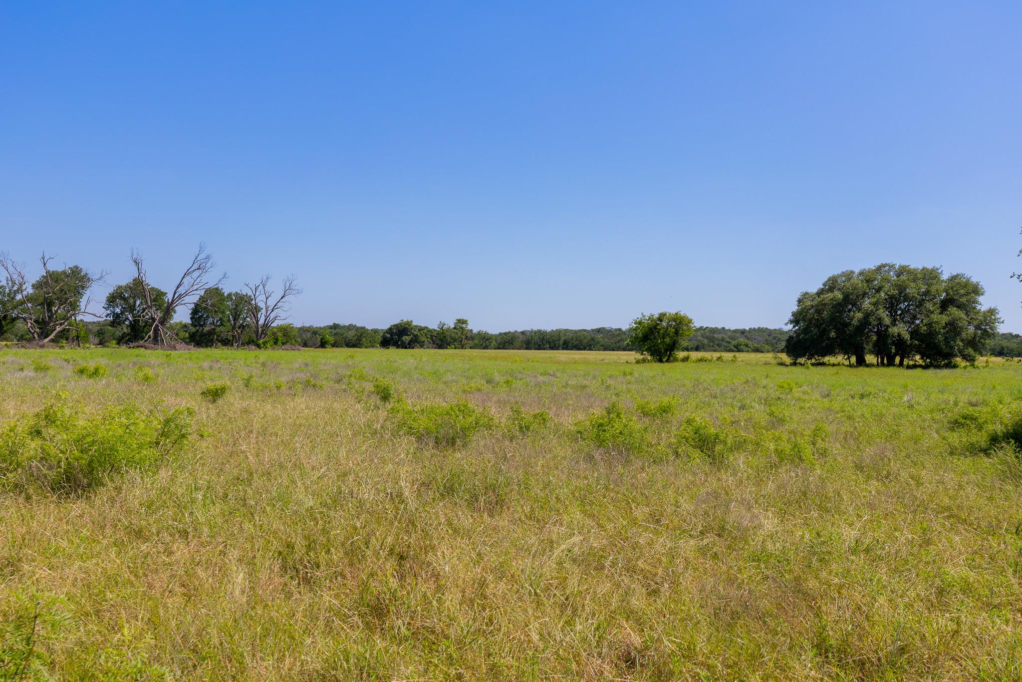 Tbd County Road 180 Rolling Pond Ranch Rd Property Photo 21