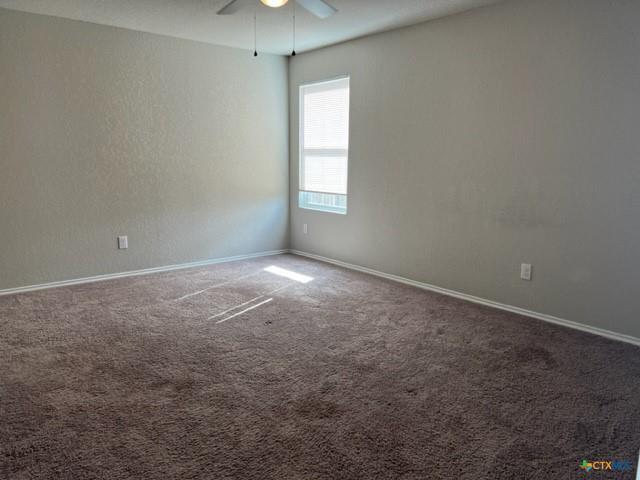 1913 Green Warbler None Property Photo 5