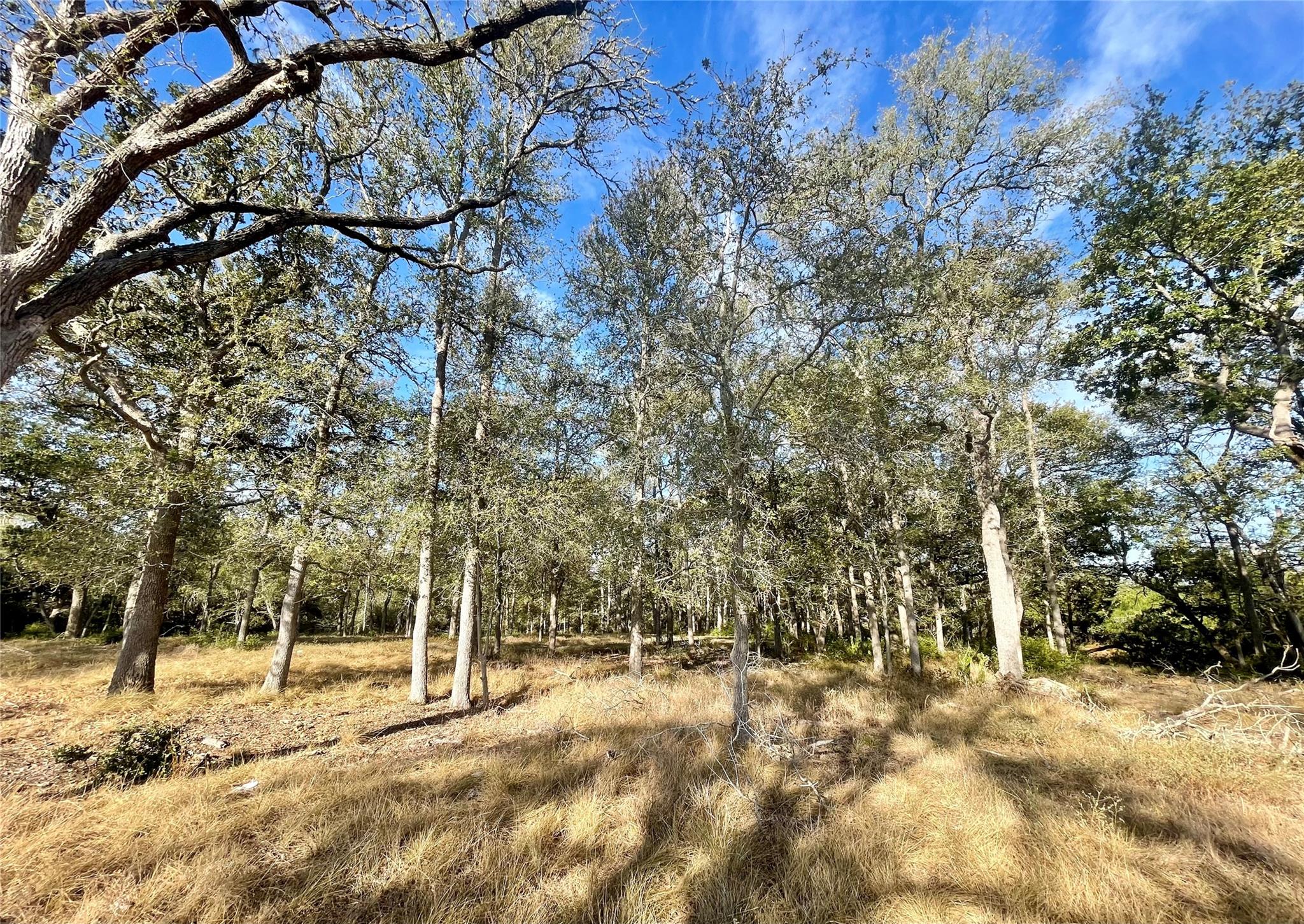 Tbd League Line Rd Property Photo 11