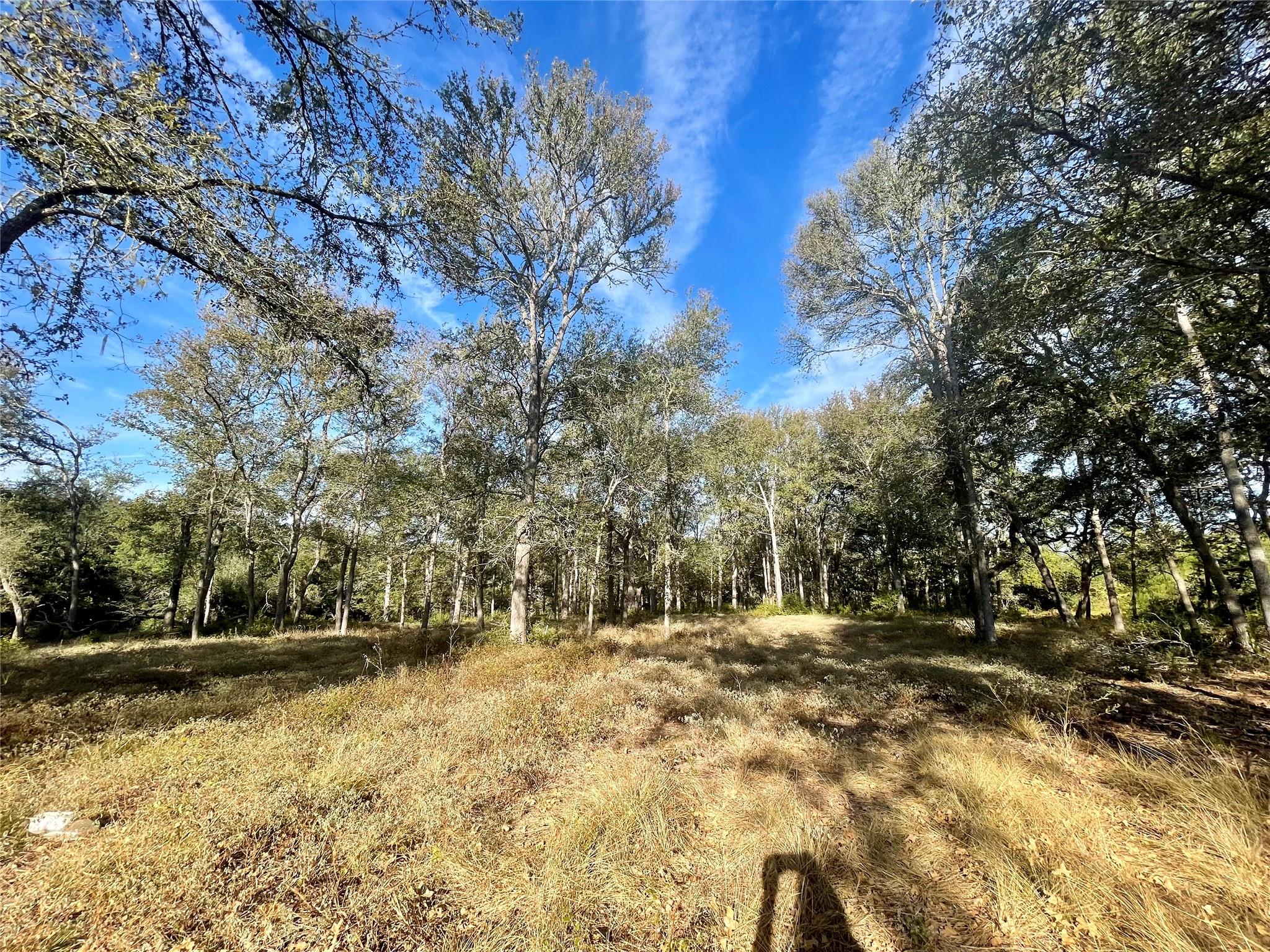 Tbd League Line Rd Property Photo 12