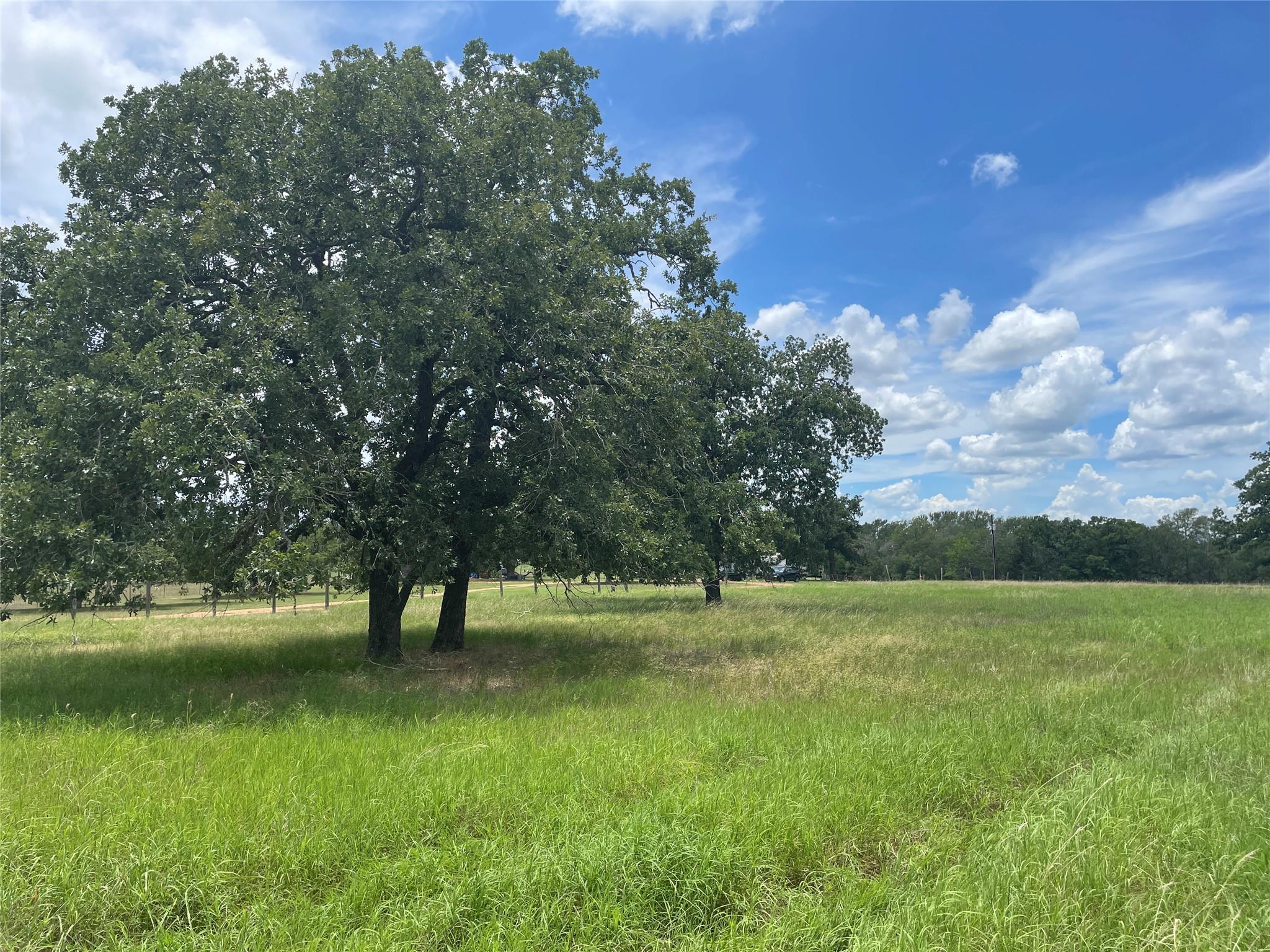 Tbd League Line Rd Property Photo 15